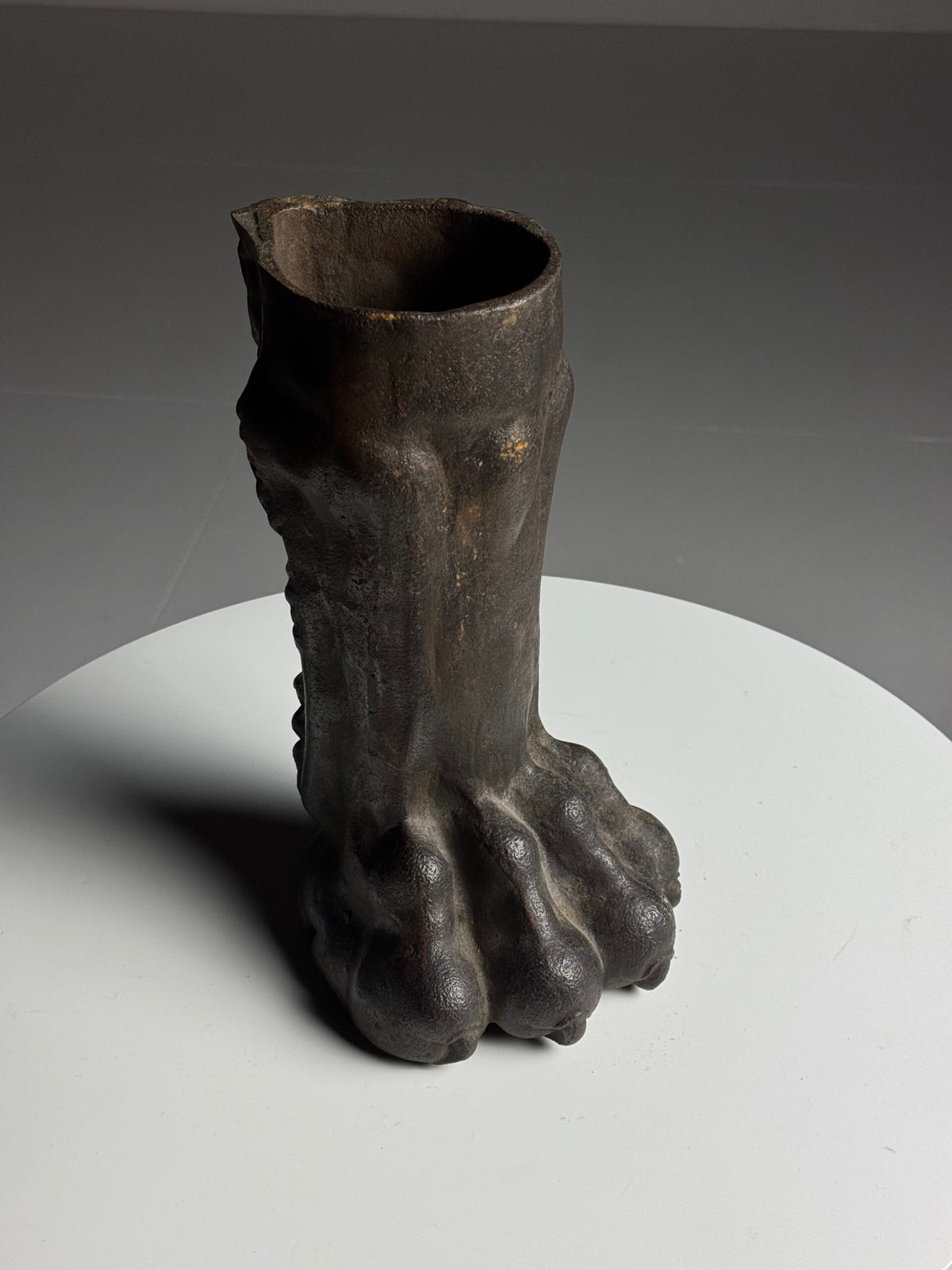 Life-size Cast Iron Lion's Paw, 19th Century, photo 3