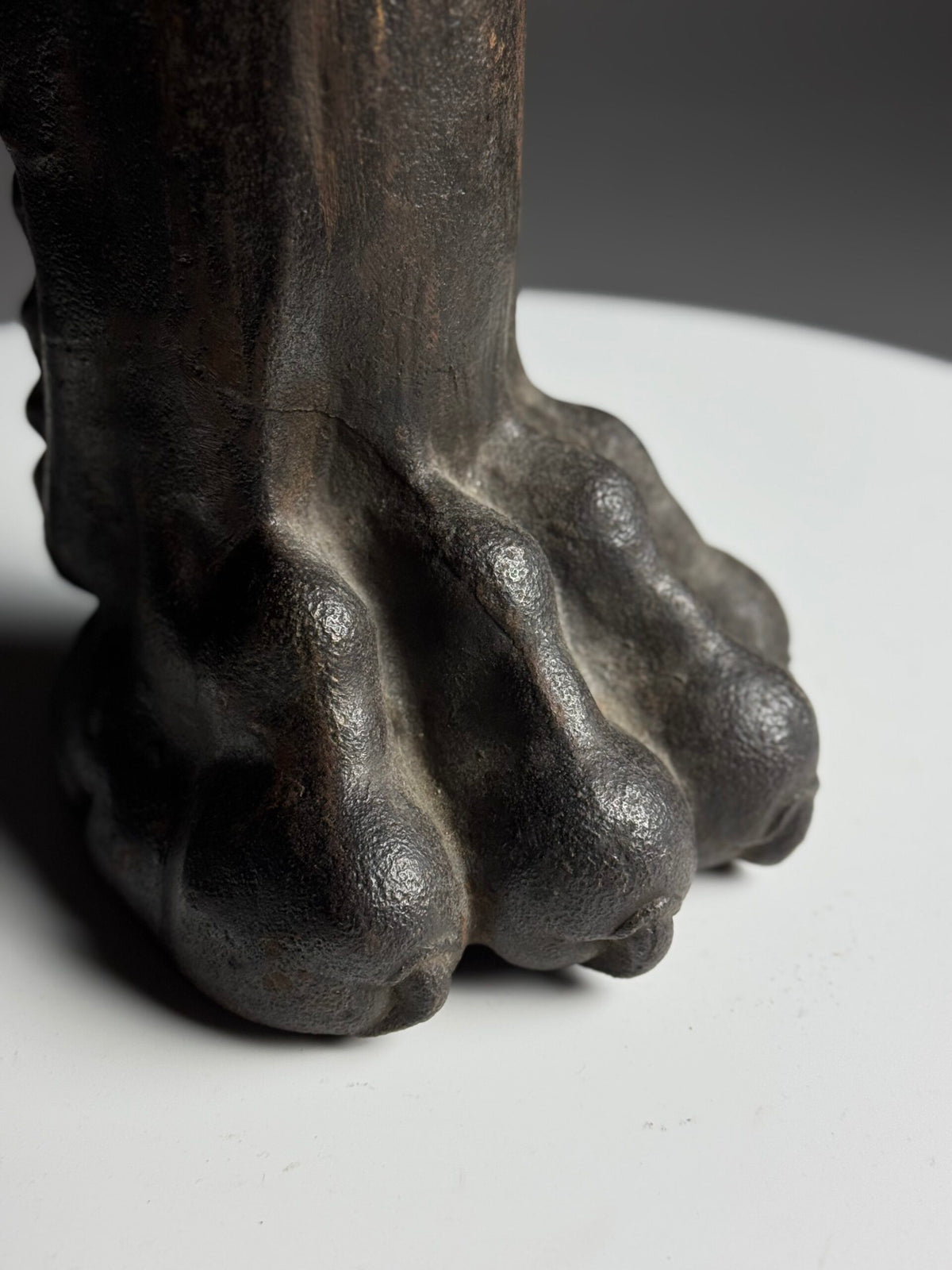 Life-size Cast Iron Lion's Paw, 19th Century, photo 2