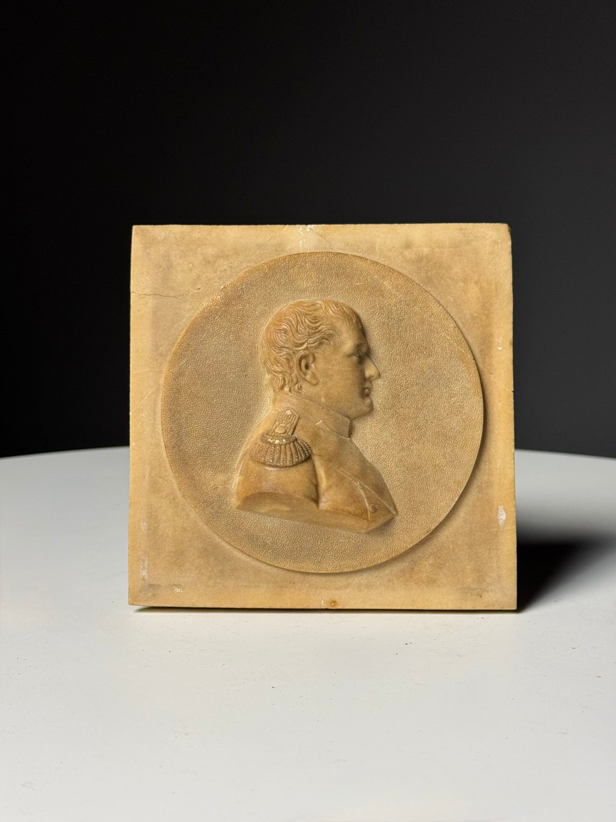 Napoleon Bonaparte Medallion in Petrified Limestone, 19th Century, photo 12