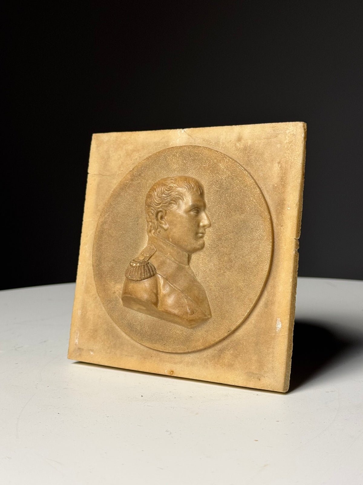 Napoleon Bonaparte Medallion in Petrified Limestone, 19th Century, photo 10