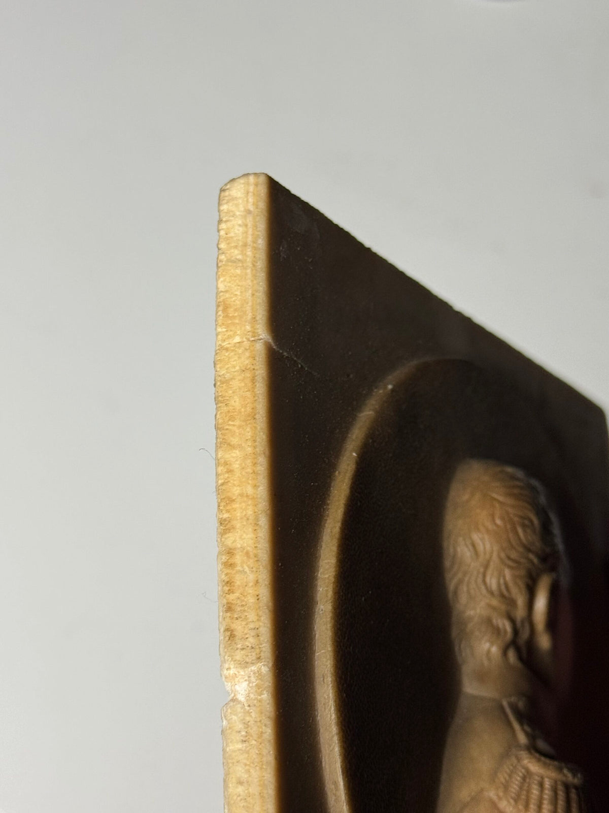 Napoleon Bonaparte Medallion in Petrified Limestone, 19th Century, photo 6