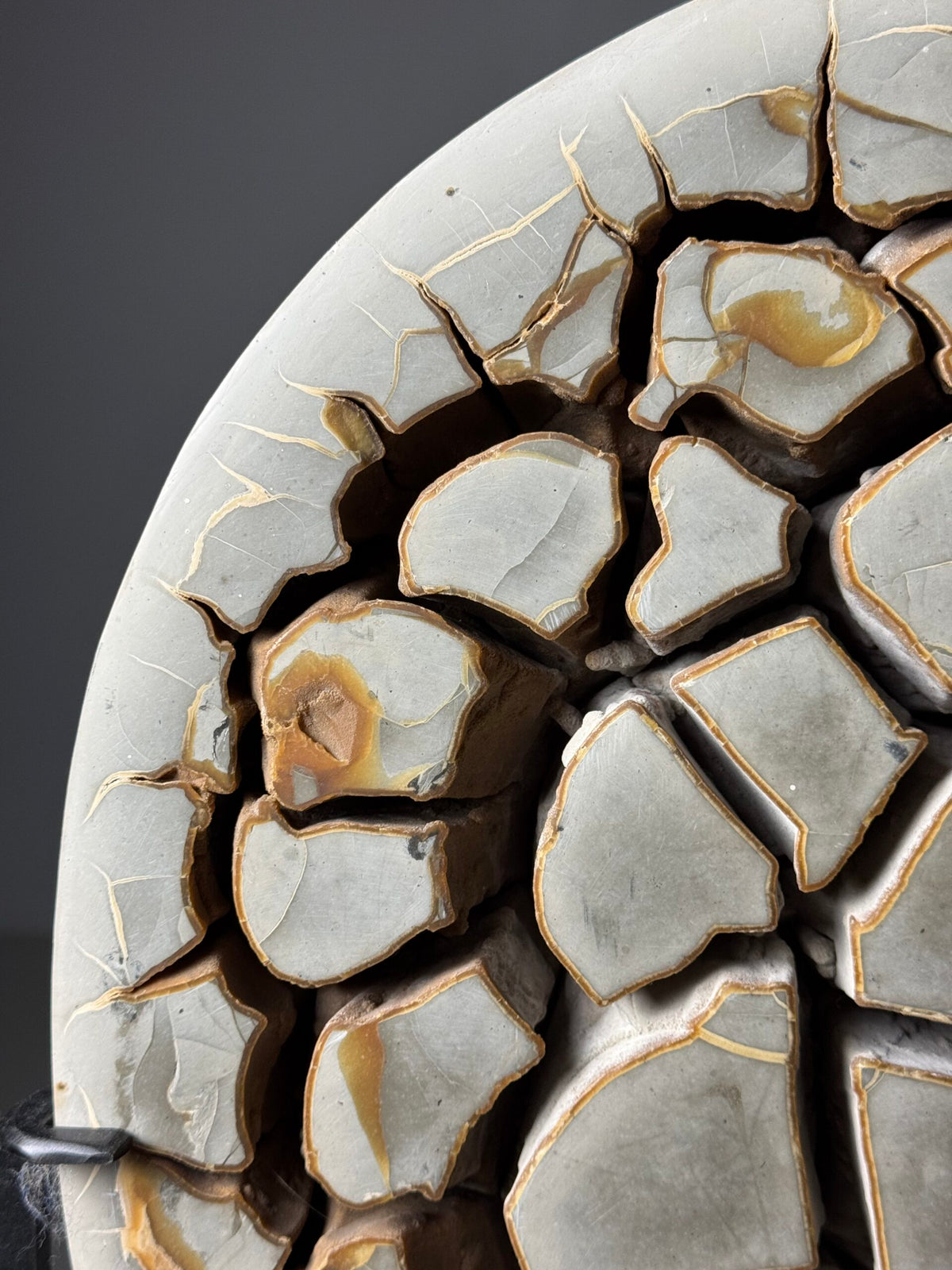 Septaria Nodule Cross Section on Metal Stand, photo 8