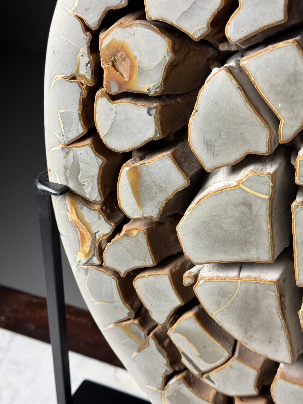 Septaria Nodule Cross Section on Metal Stand, photo 9