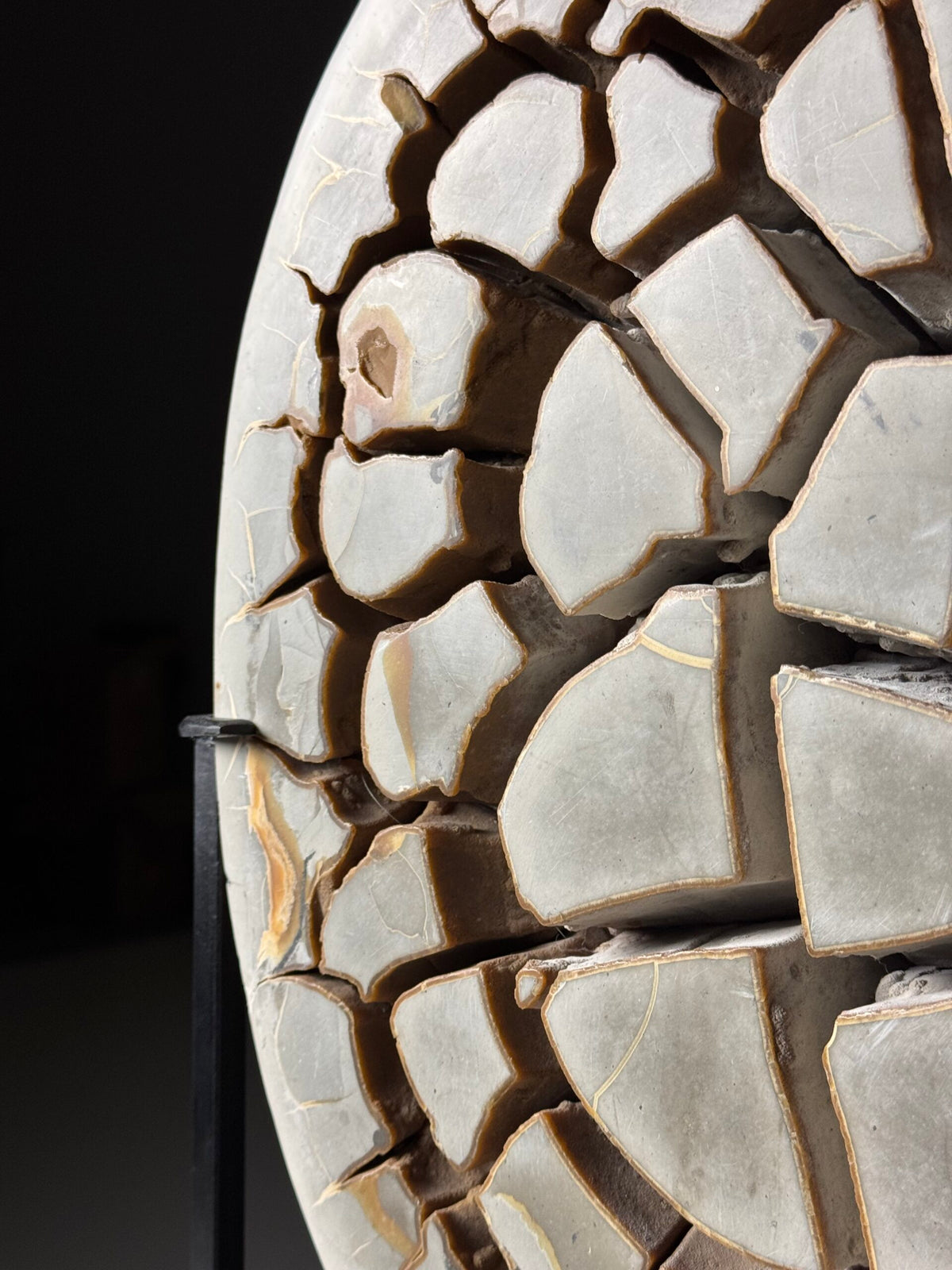 Septaria Nodule Cross Section on Metal Stand, photo 4