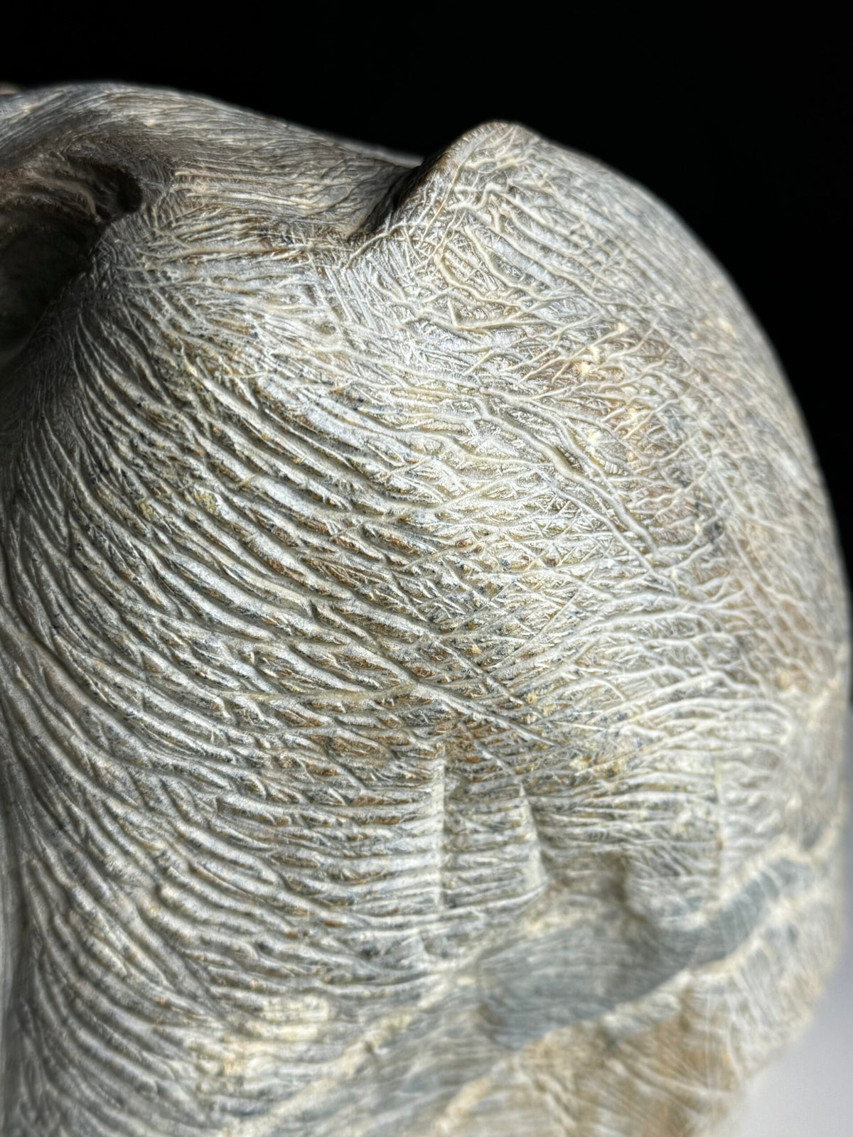 Hand Carved Stone Head of a Screaming Monkey, 20th Century, photo 19