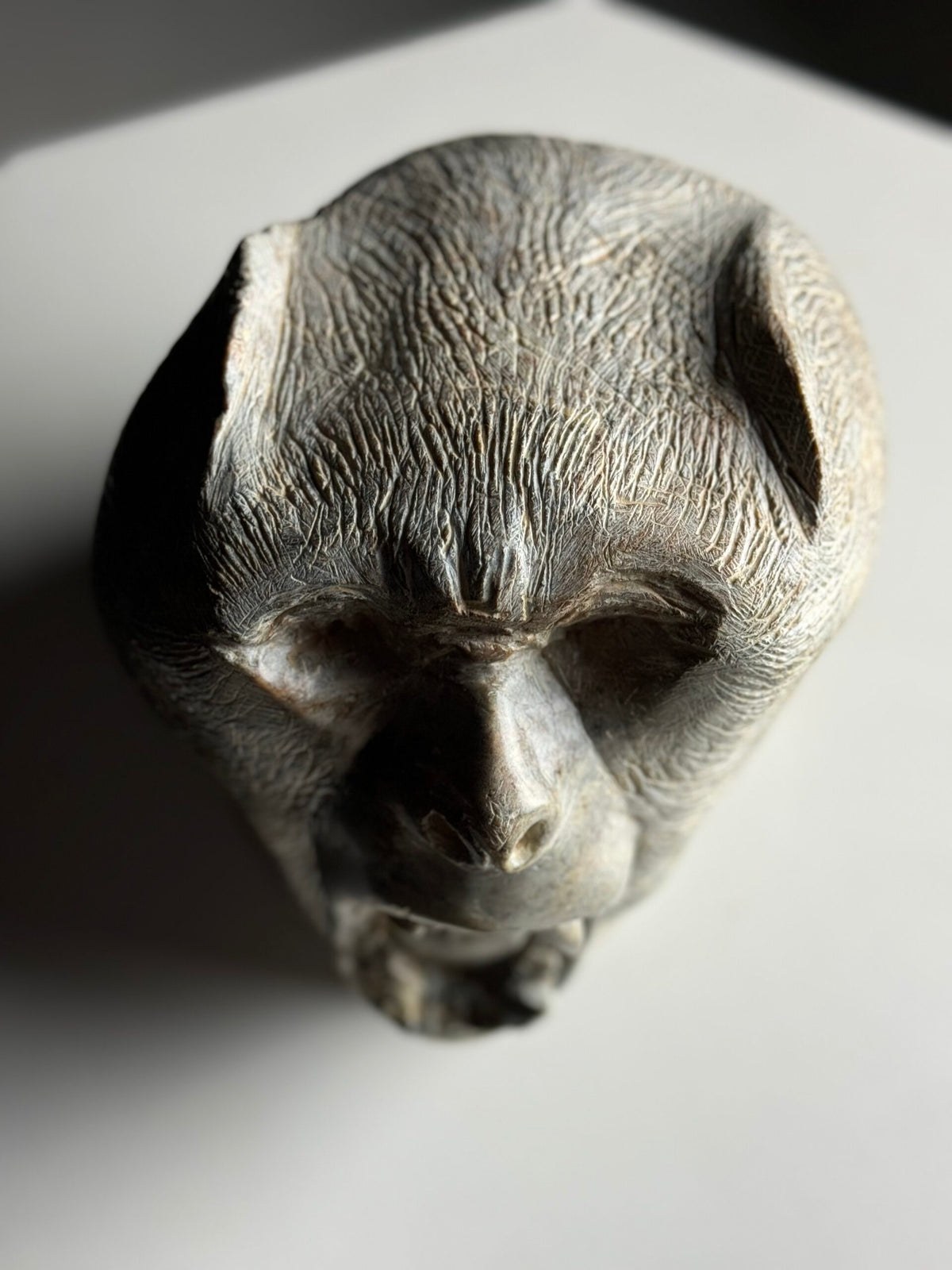 Hand Carved Stone Head of a Screaming Monkey, 20th Century, photo 22