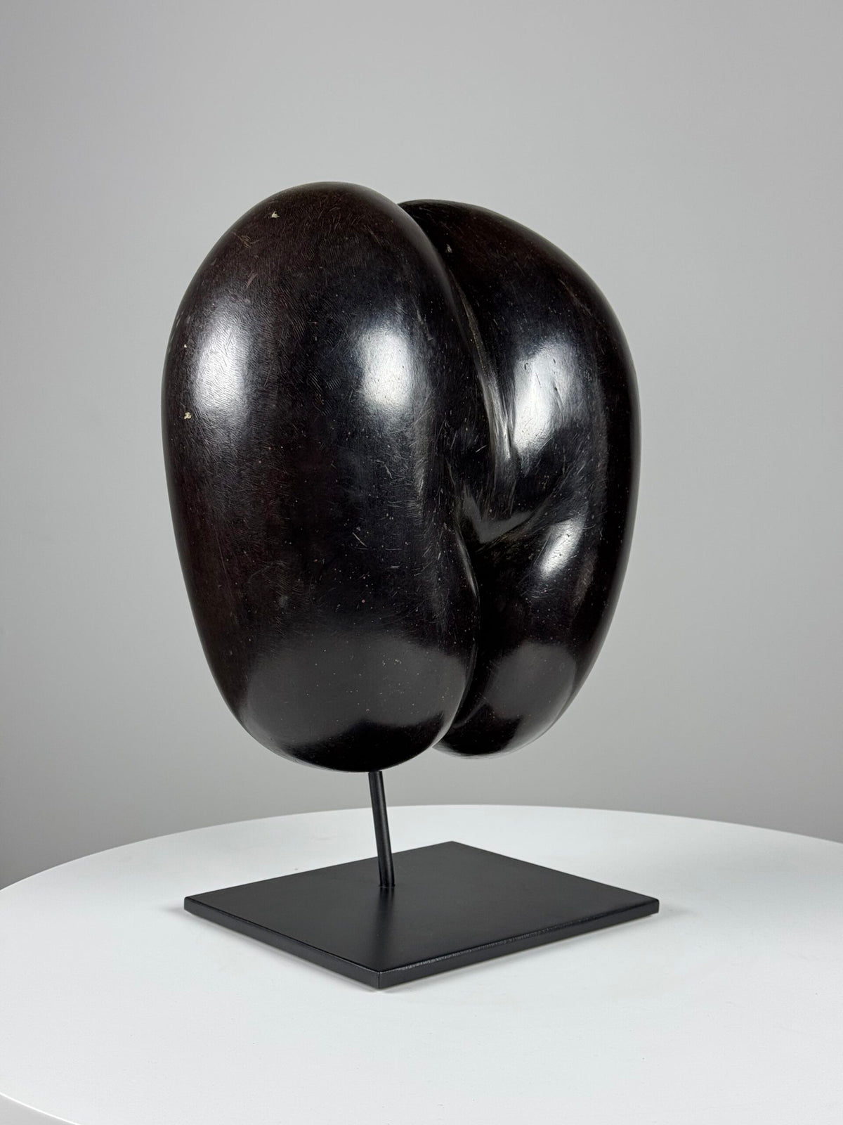 Polished Coco de Mer on Stand, photo 4