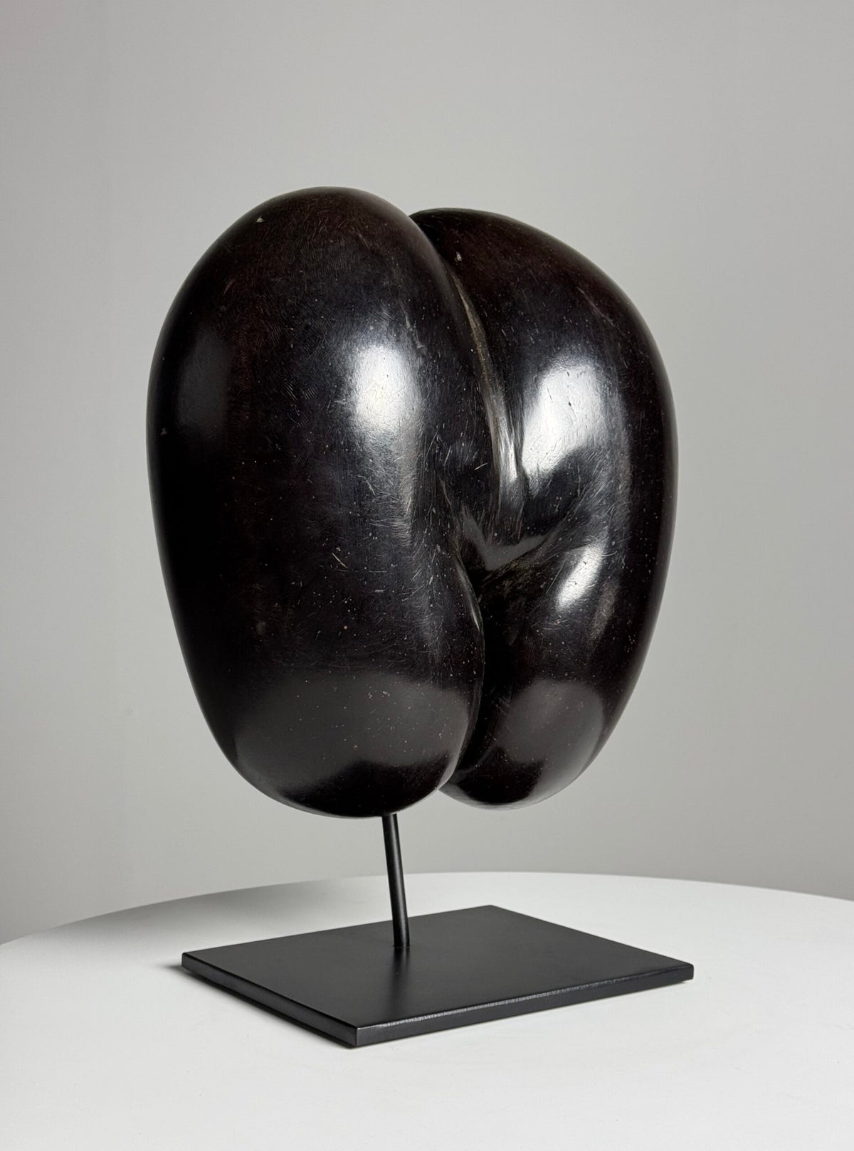 Polished Coco de Mer on Stand, photo 5