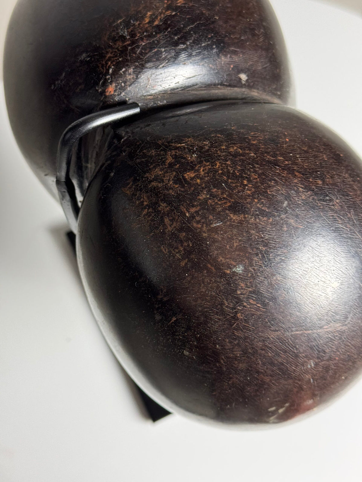 Polished Coco de Mer on Stand, photo 8