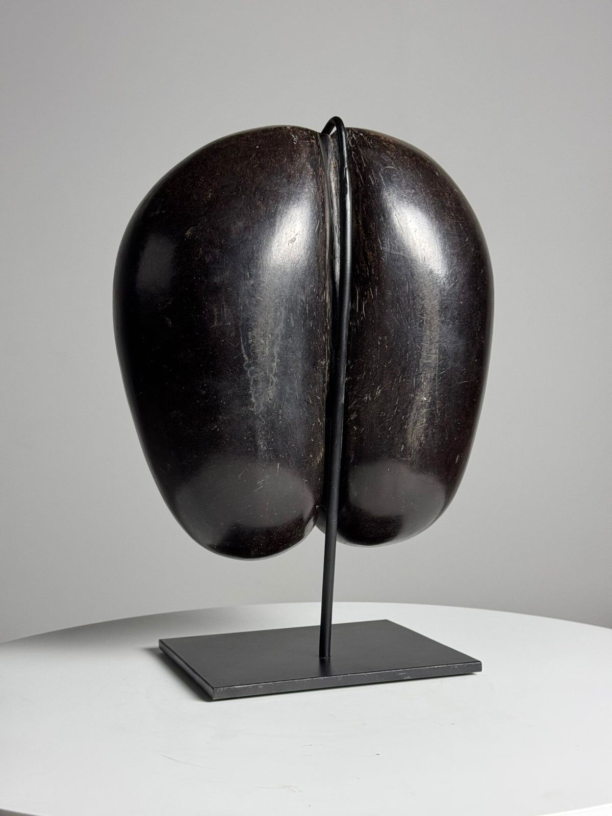 Polished Coco de Mer on Stand, photo 9