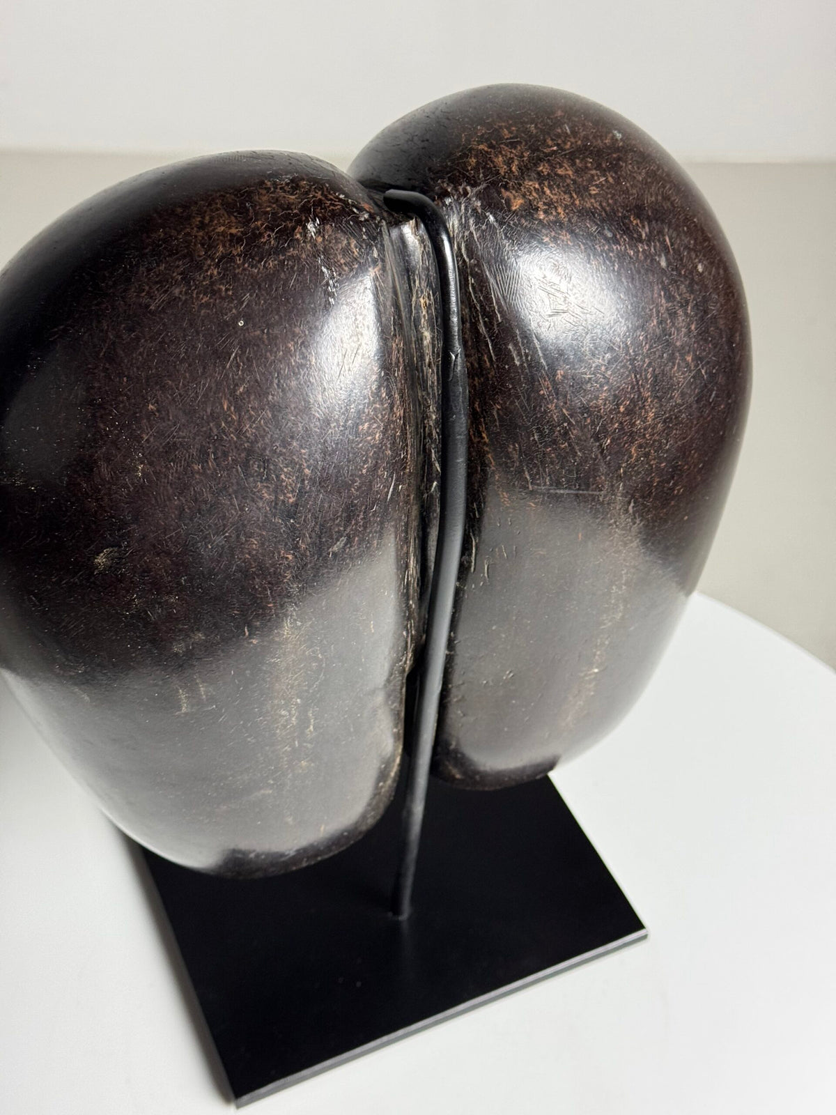 Polished Coco de Mer on Stand, photo 10