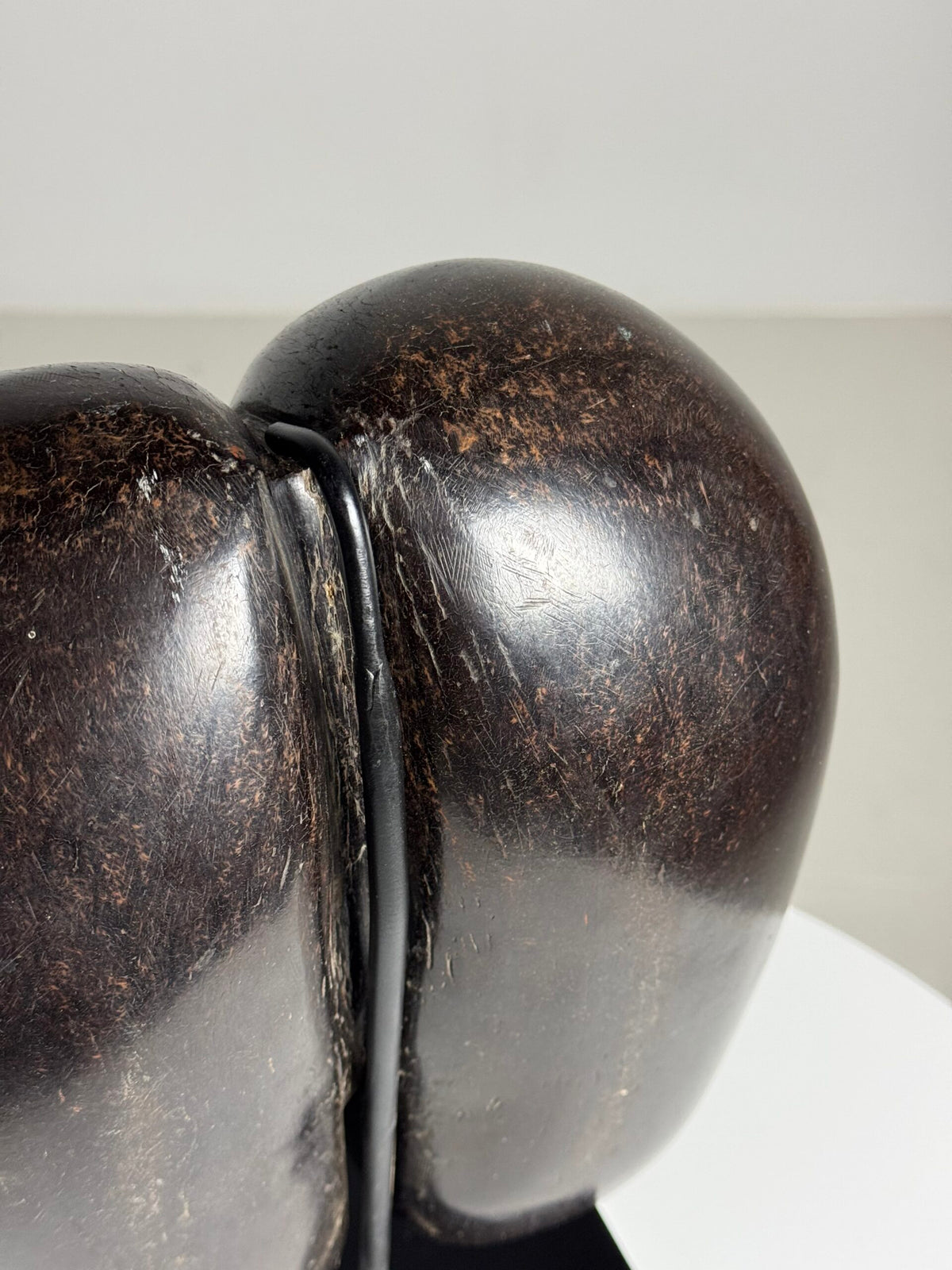 Polished Coco de Mer on Stand, photo 11