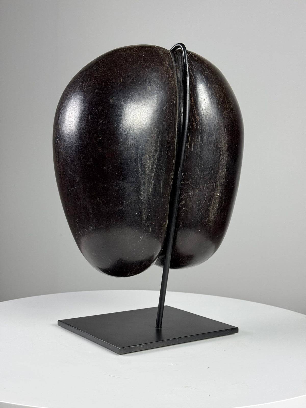 Polished Coco de Mer on Stand, photo 13
