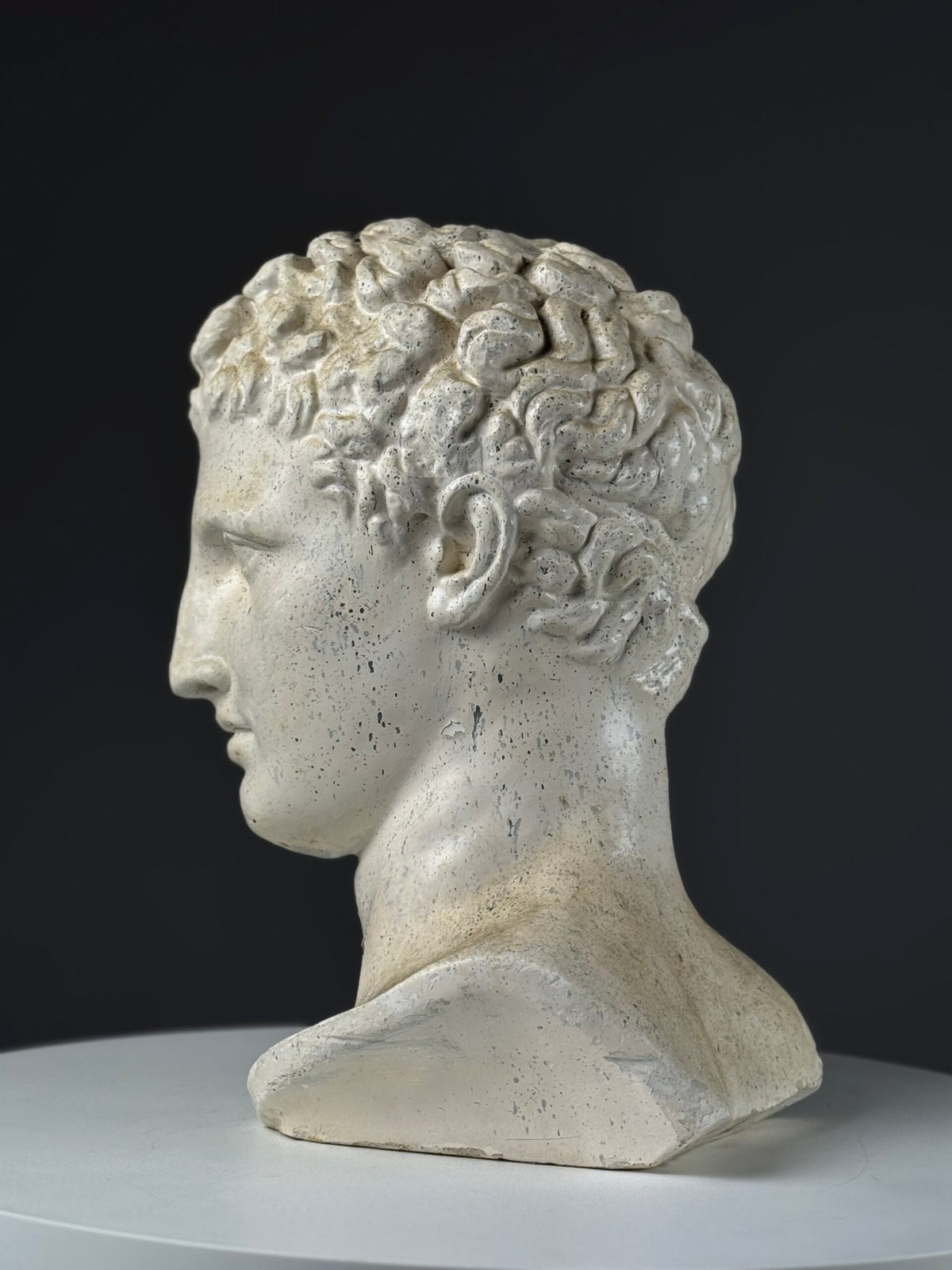 Plaster Head of the God Hermes, photo 3