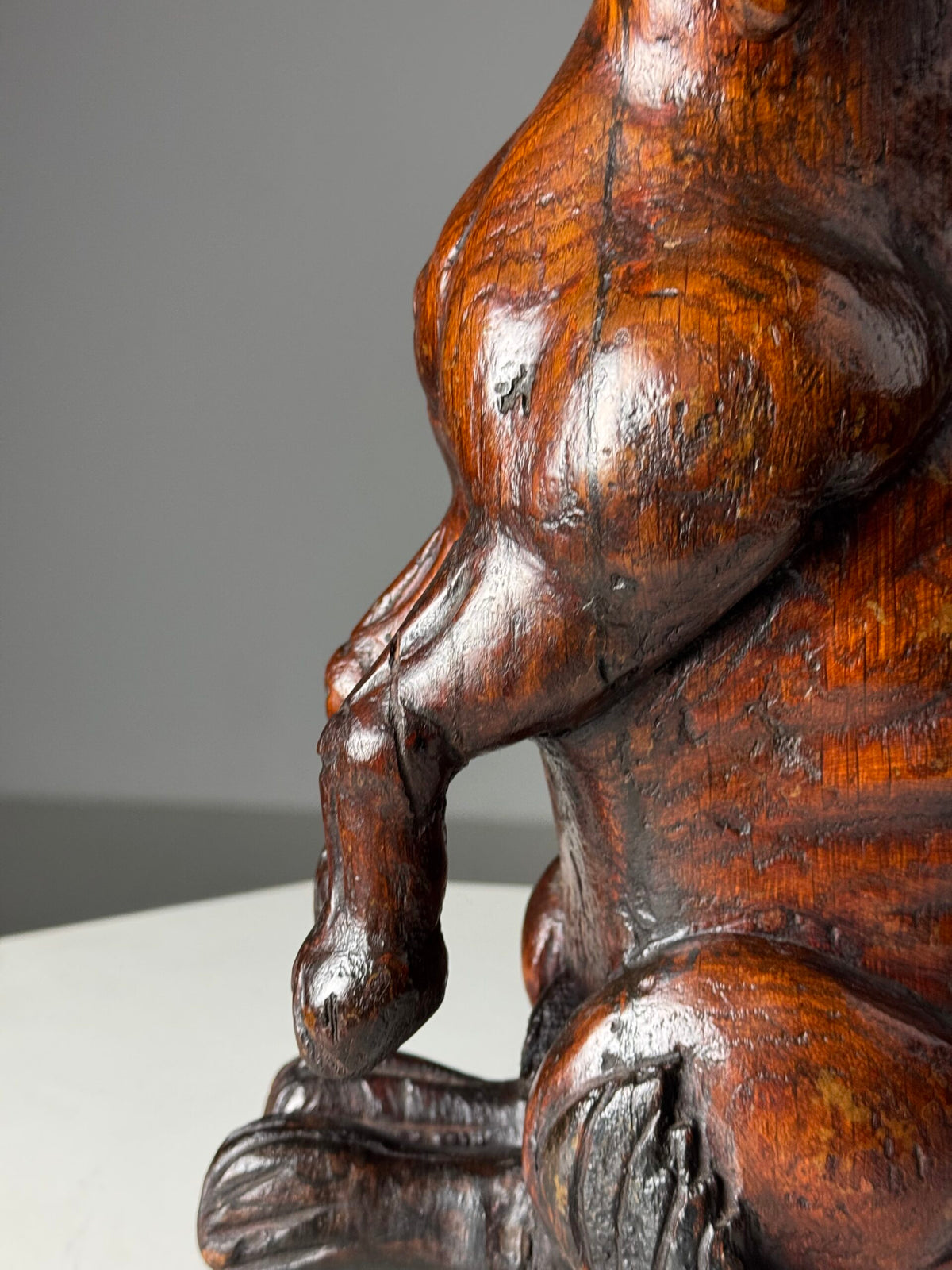 Carved Wooden Dog of Saint Roch, Venice, 18th Century, photo 5