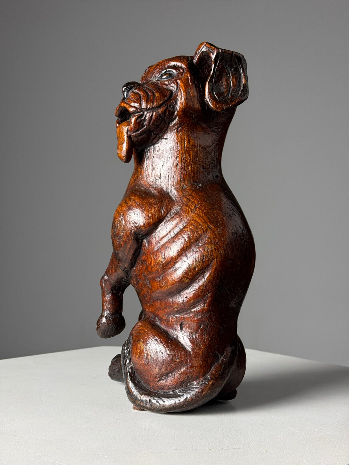 Carved Wooden Dog of Saint Roch, Venice, 18th Century, photo 6