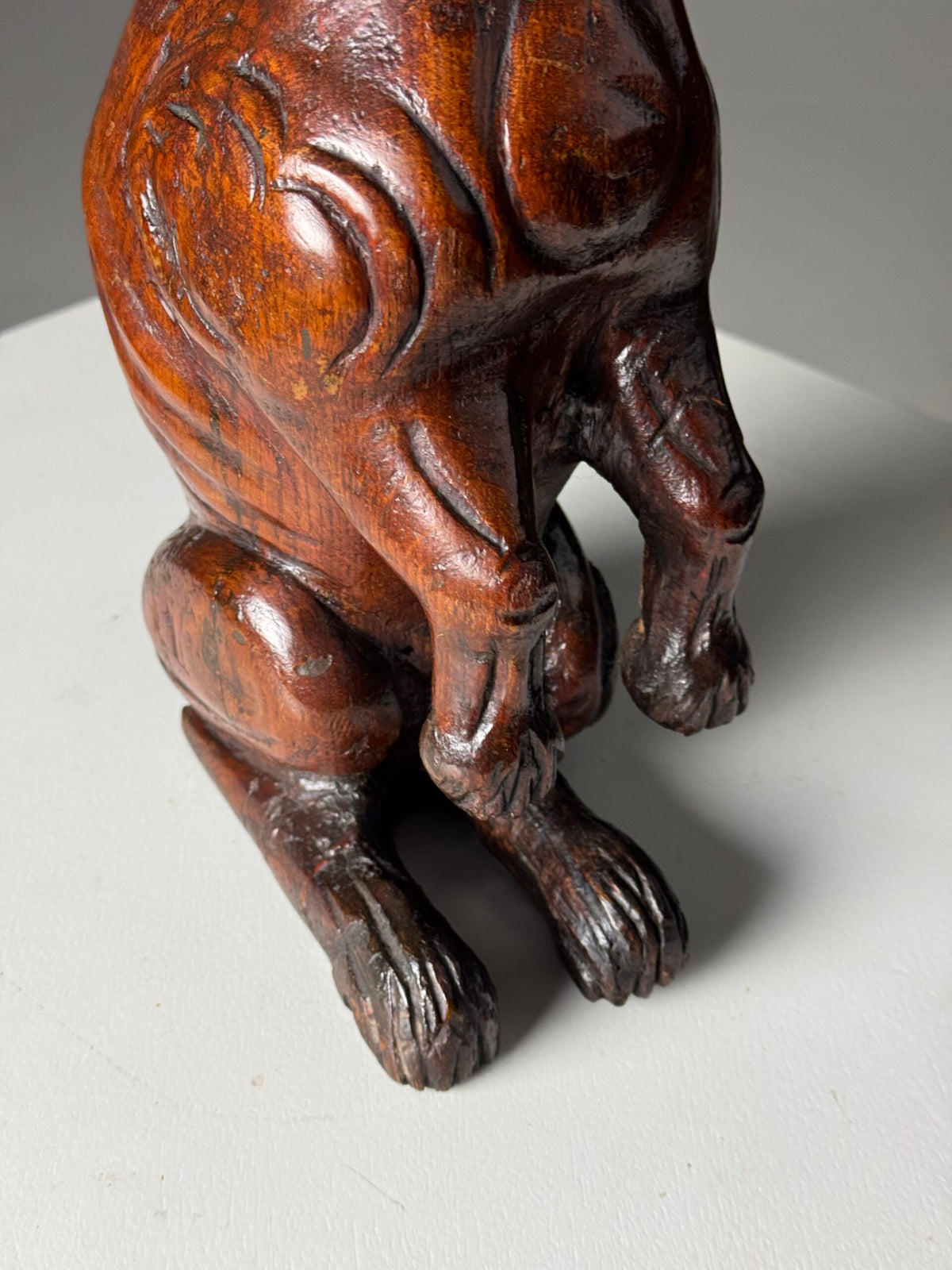 Carved Wooden Dog of Saint Roch, Venice, 18th Century, photo 9