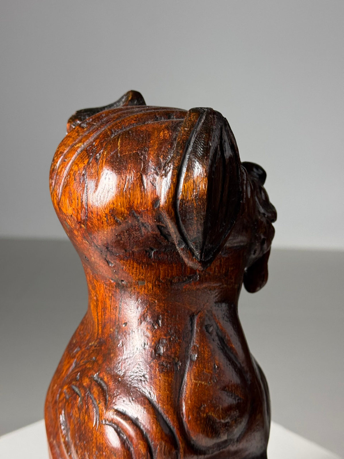 Carved Wooden Dog of Saint Roch, Venice, 18th Century, photo 10