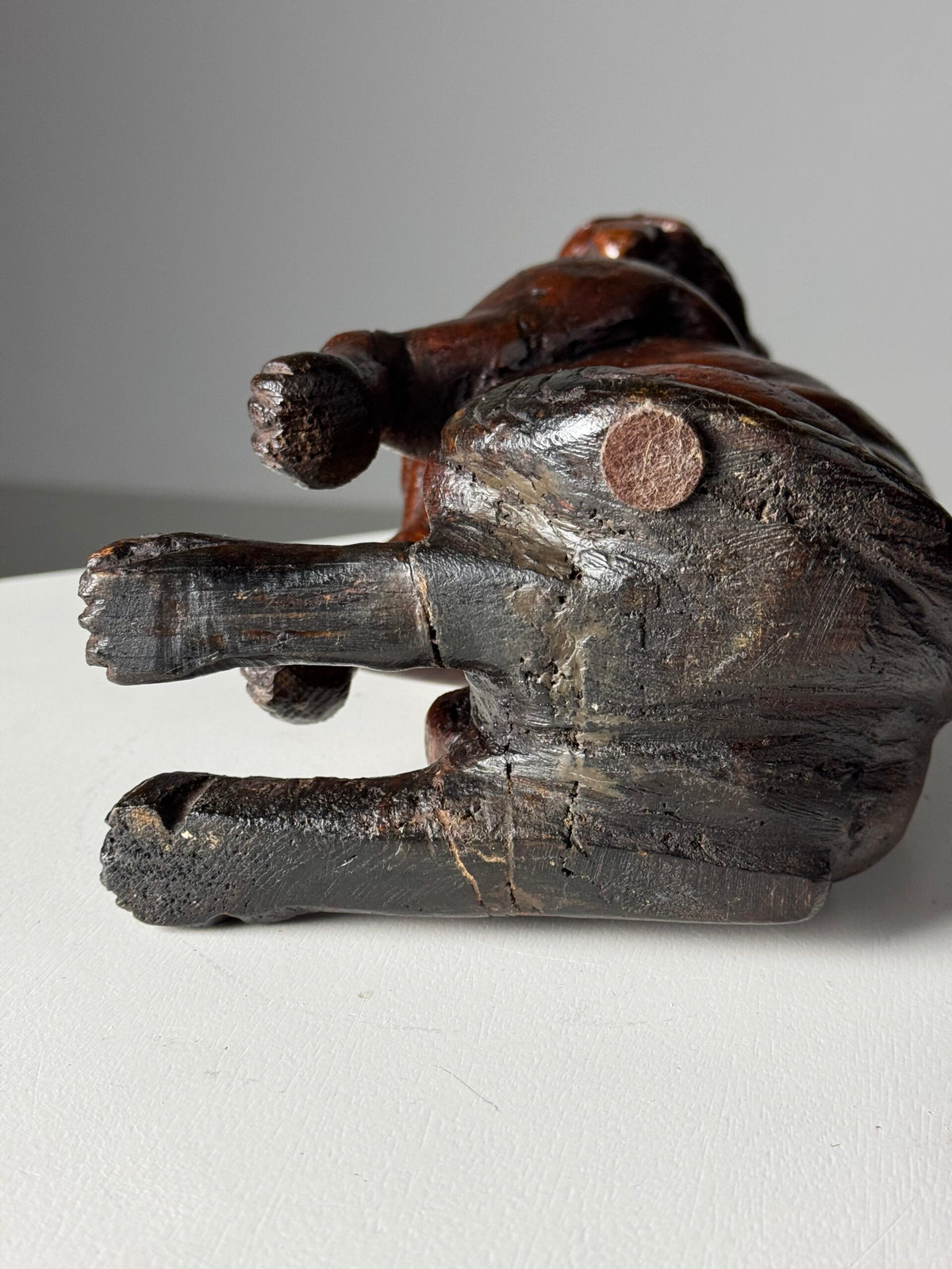 Carved Wooden Dog of Saint Roch, Venice, 18th Century, photo 12