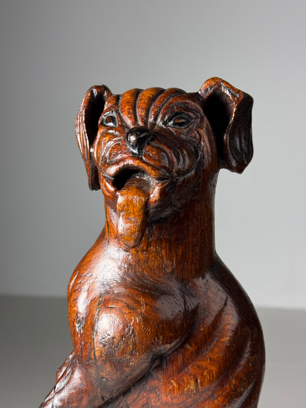 Carved Wooden Dog of Saint Roch, Venice, 18th Century, photo 13