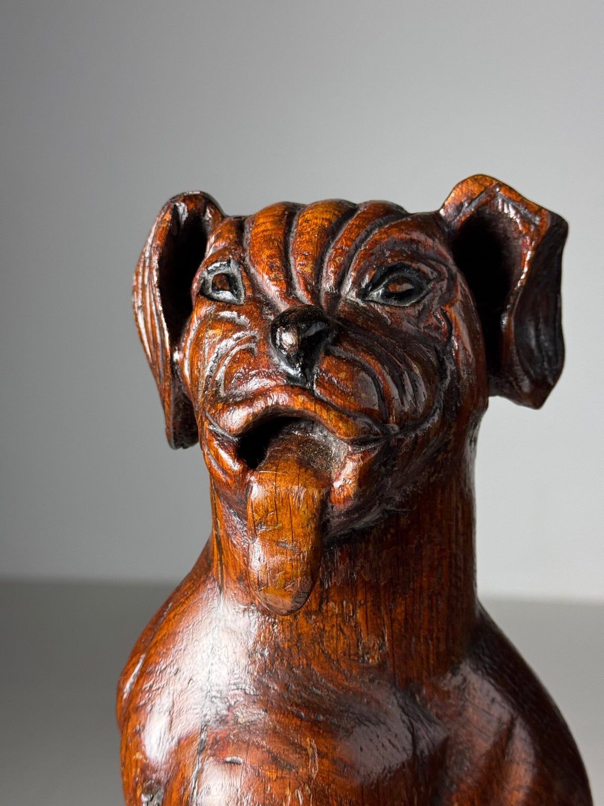 Carved Wooden Dog of Saint Roch, Venice, 18th Century, photo 14