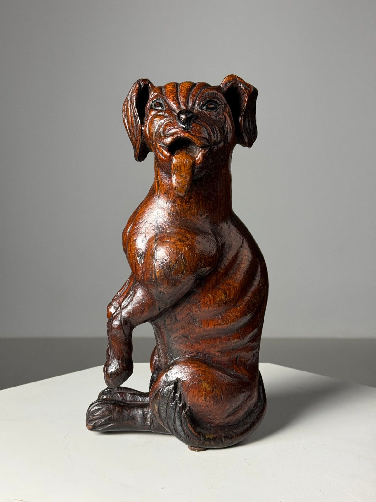 Carved Wooden Dog of Saint Roch, Venice, 18th Century, photo 15