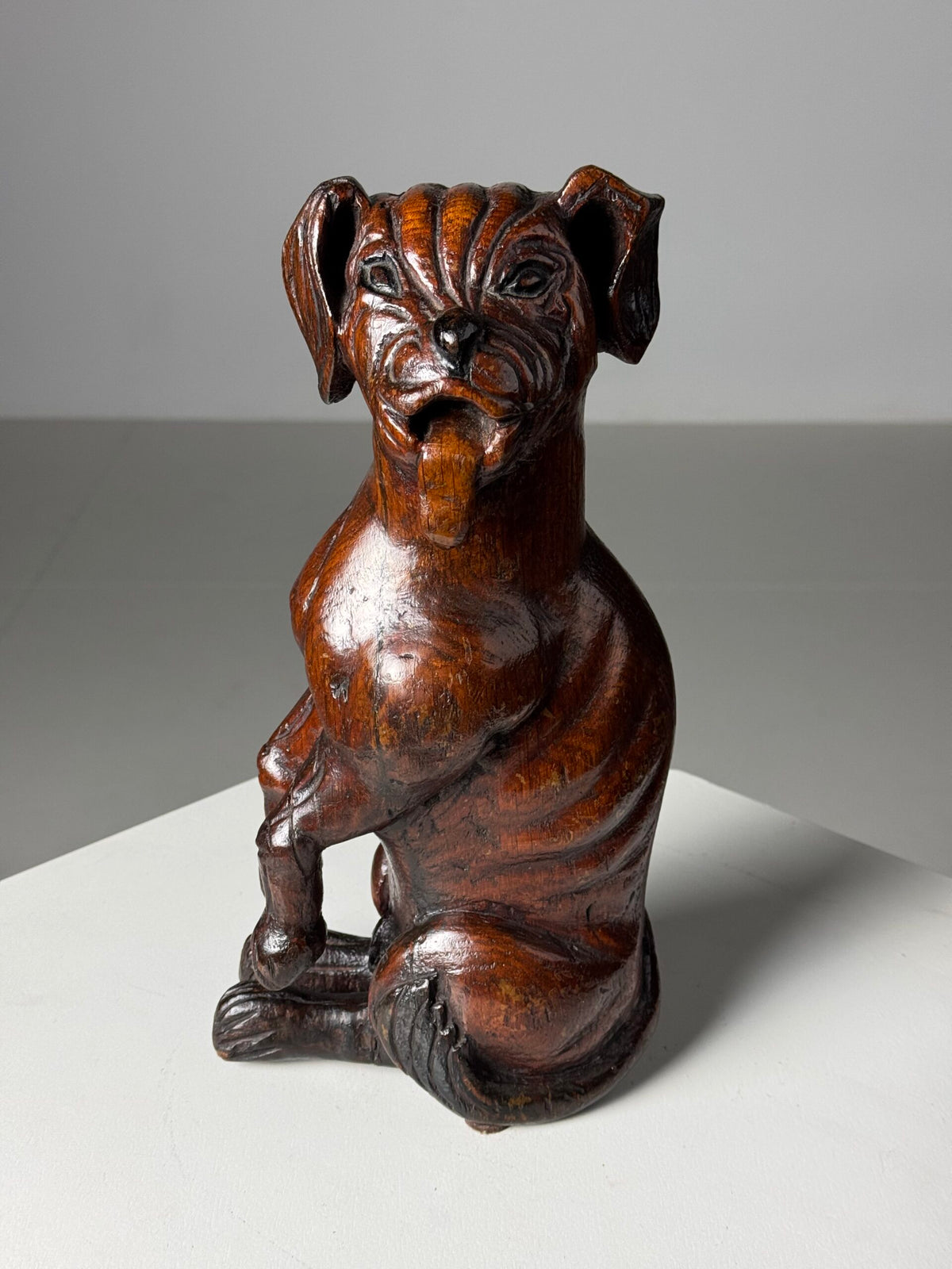 Carved Wooden Dog of Saint Roch, Venice, 18th Century, photo 16