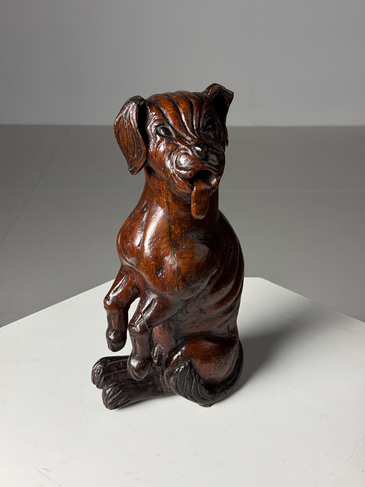 Carved Wooden Dog of Saint Roch, Venice, 18th Century, photo 17
