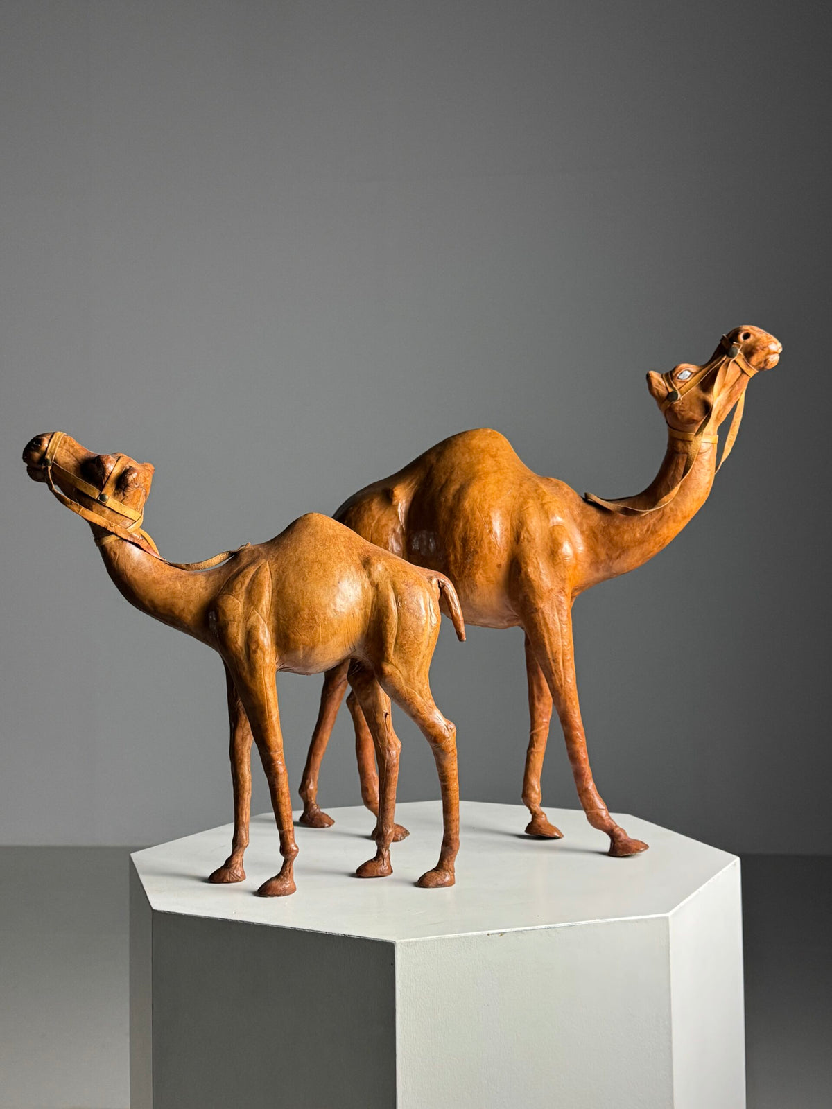 Pair of Leather Covered Dromedaries, England, 20th Century, photo 6