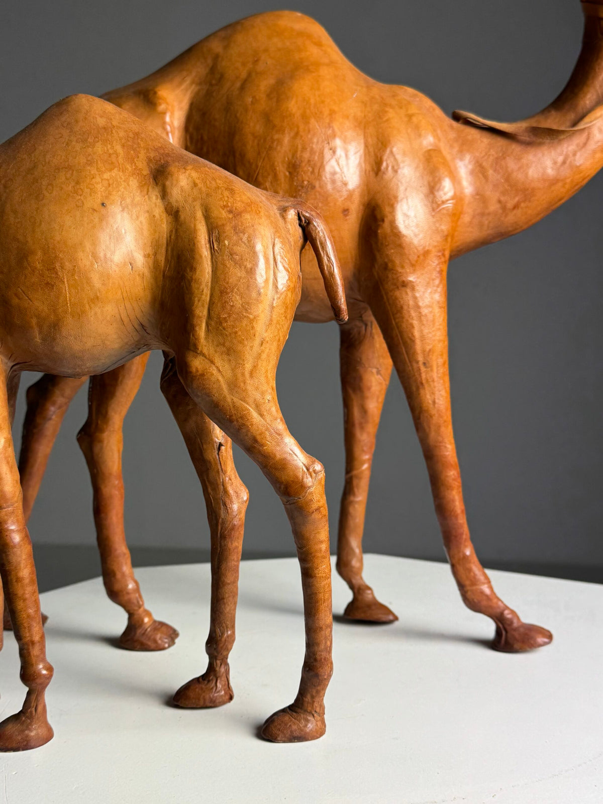 Pair of Leather Covered Dromedaries, England, 20th Century, photo 3