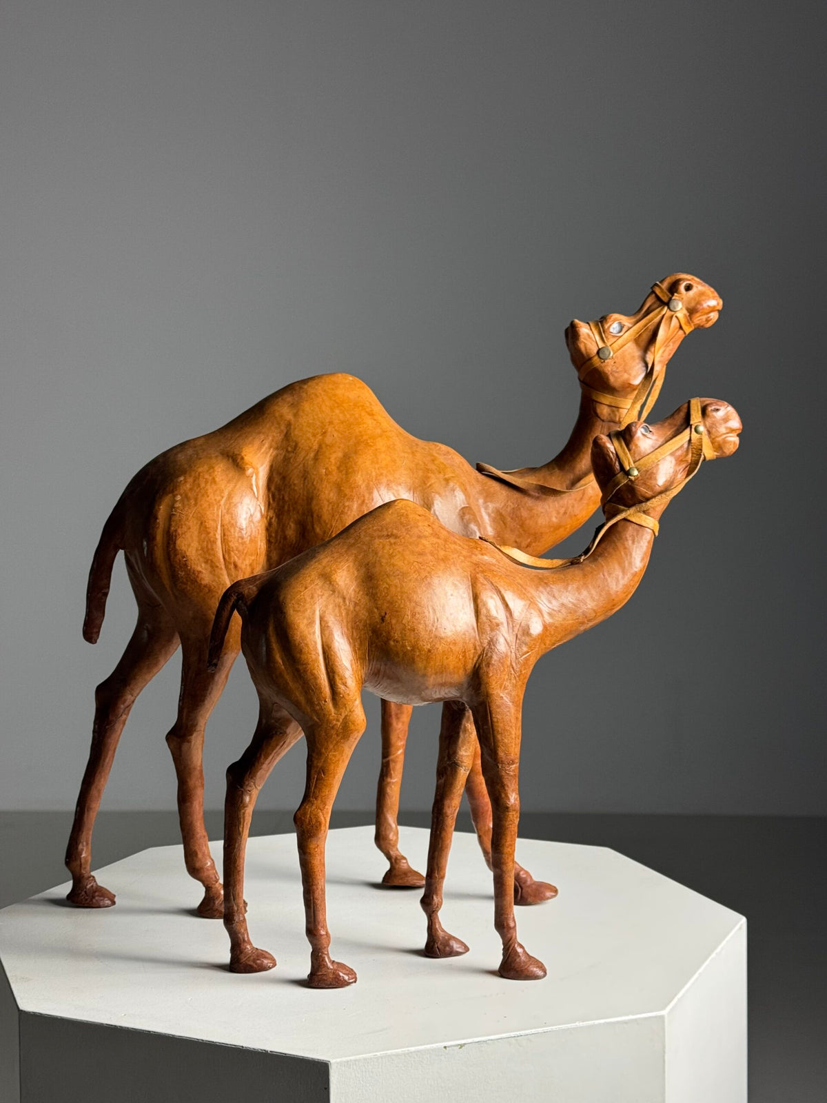 Pair of Leather Covered Dromedaries, England, 20th Century, photo 2