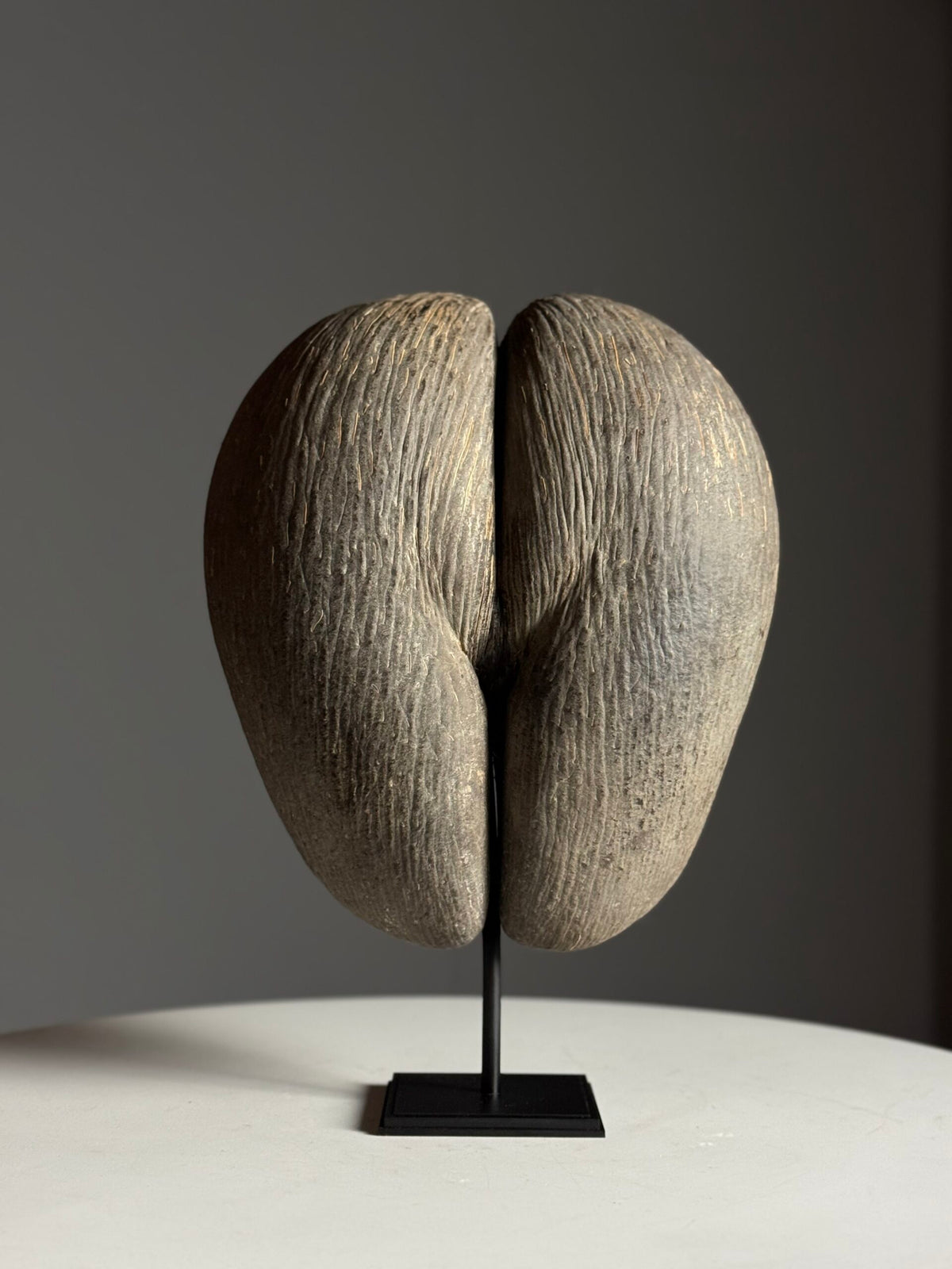 Coco de Mer on Custom Stand, photo 17