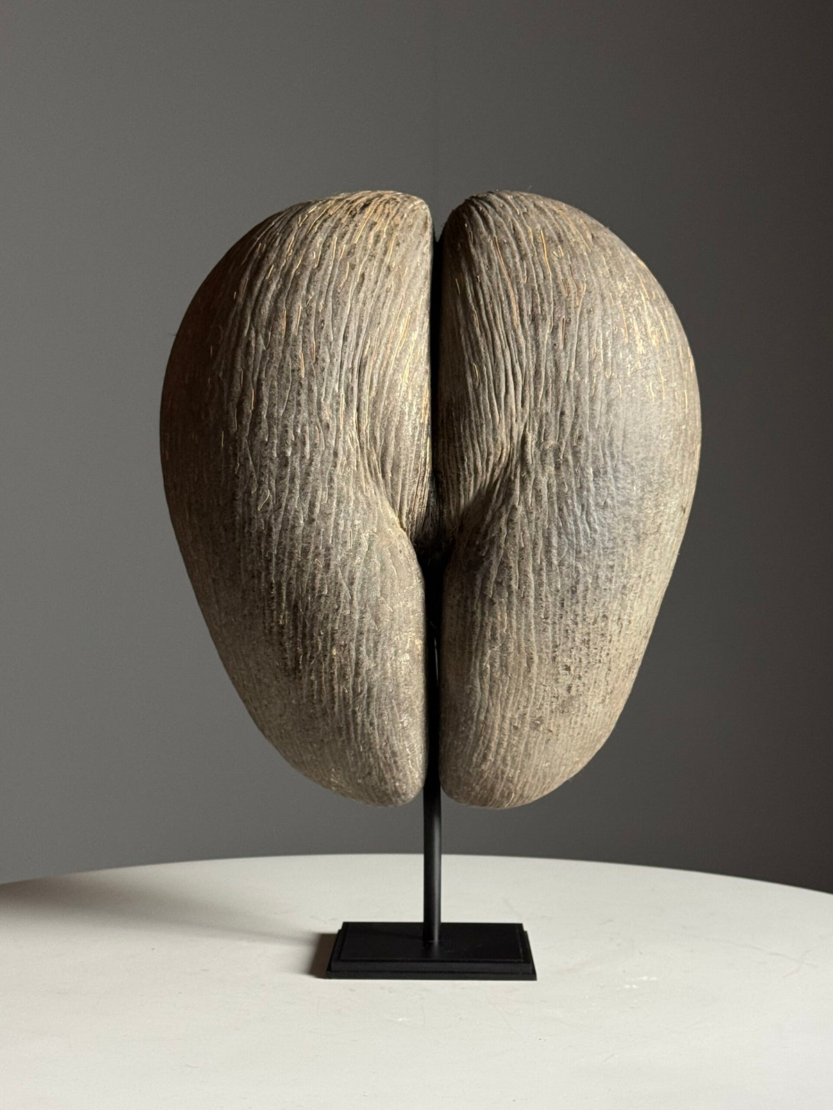 Coco de Mer on Custom Stand, photo 16