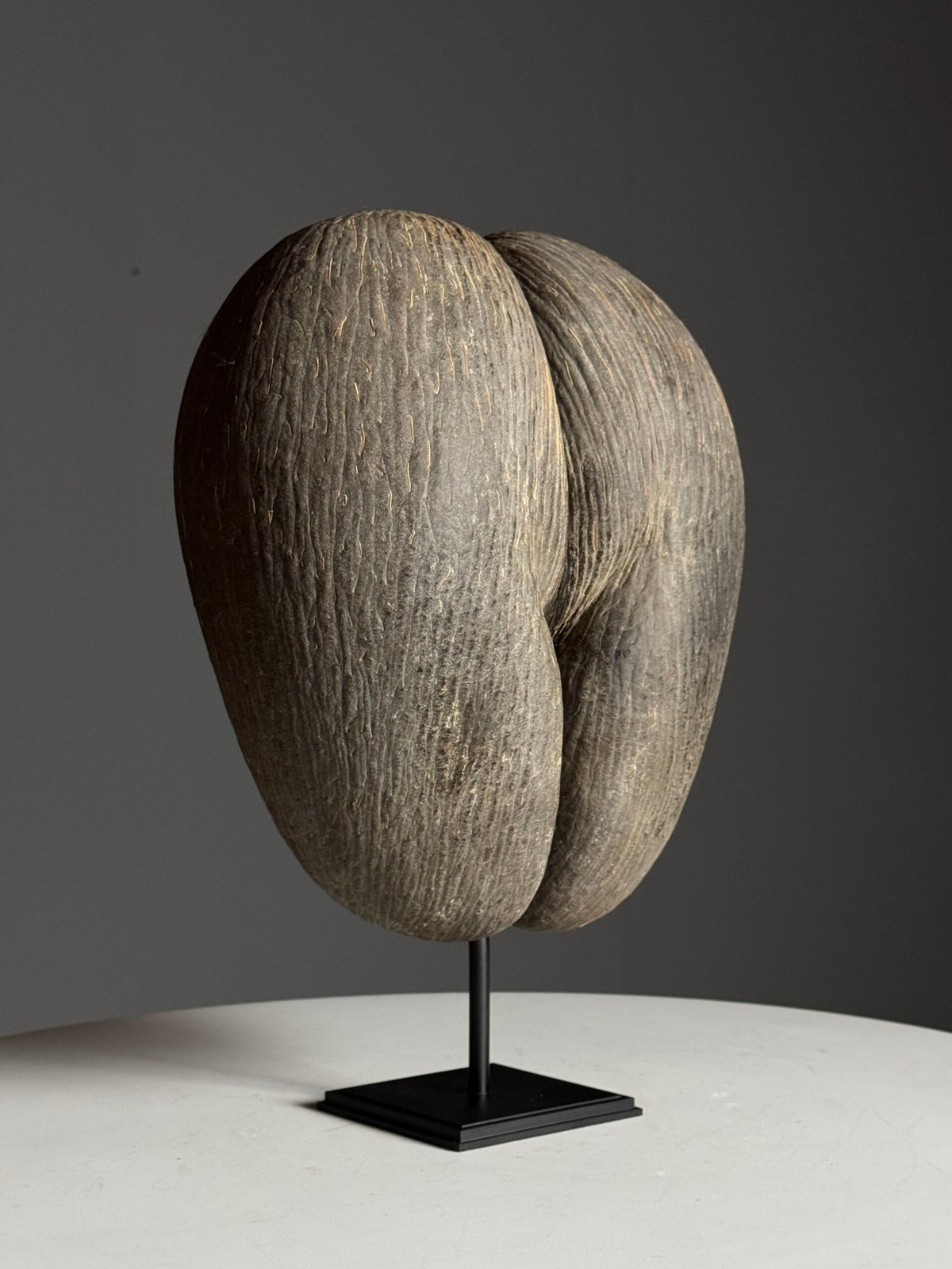 Coco de Mer on Custom Stand, photo 11
