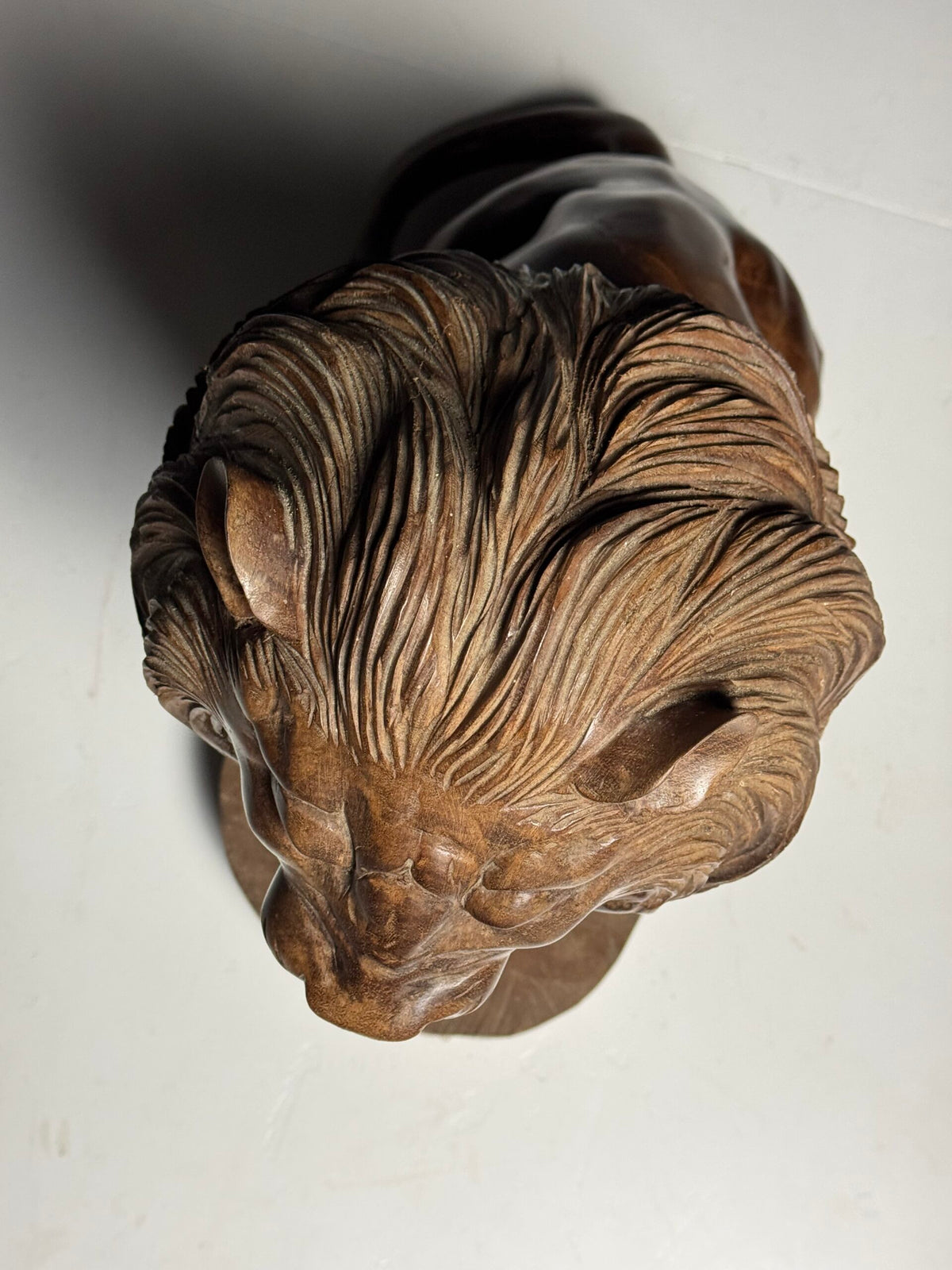 Large Carved Wooden Seated Lion, South East Asia, Late 20th Century, photo 3