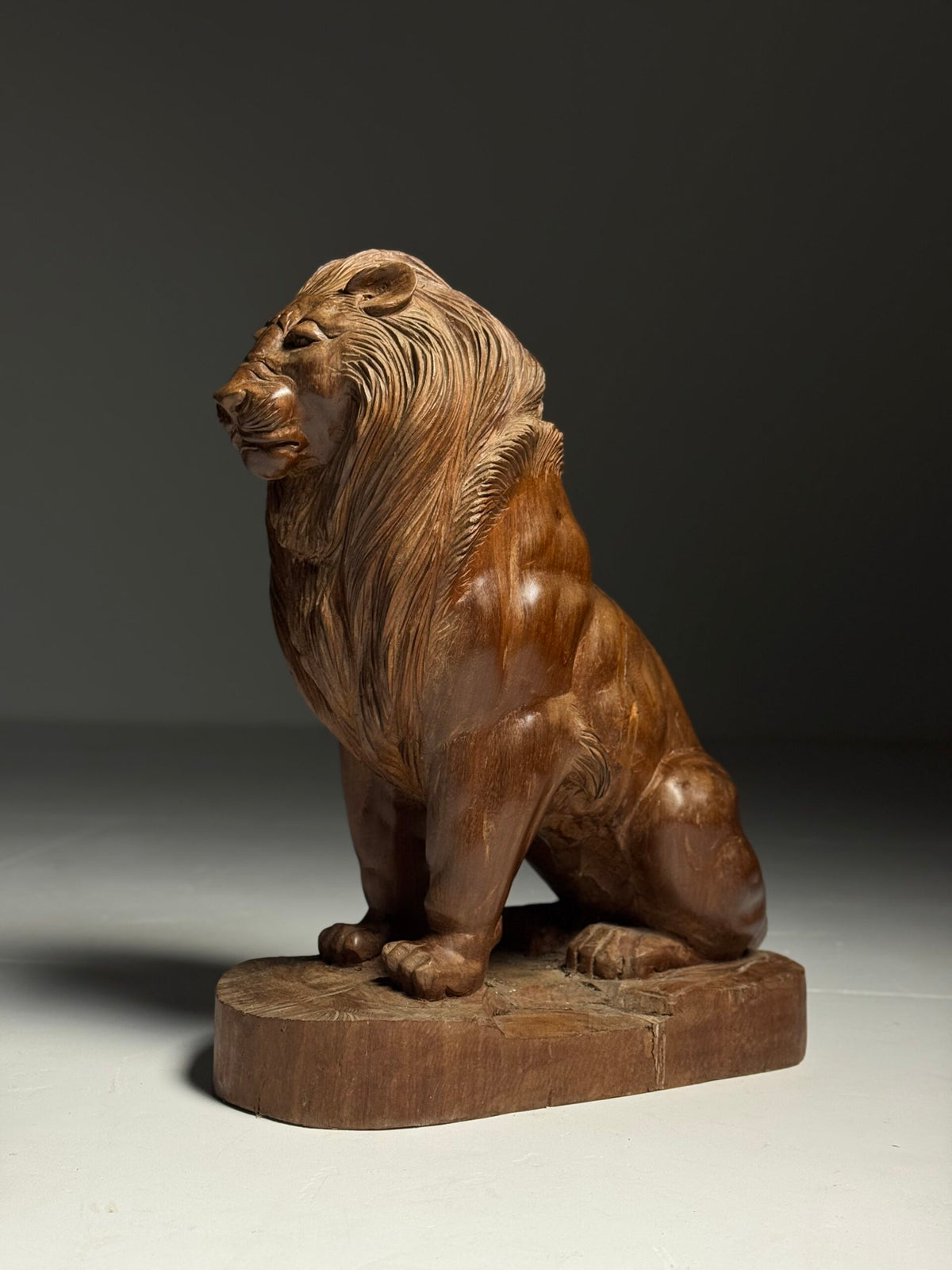 Large Carved Wooden Seated Lion, South East Asia, Late 20th Century, photo 1