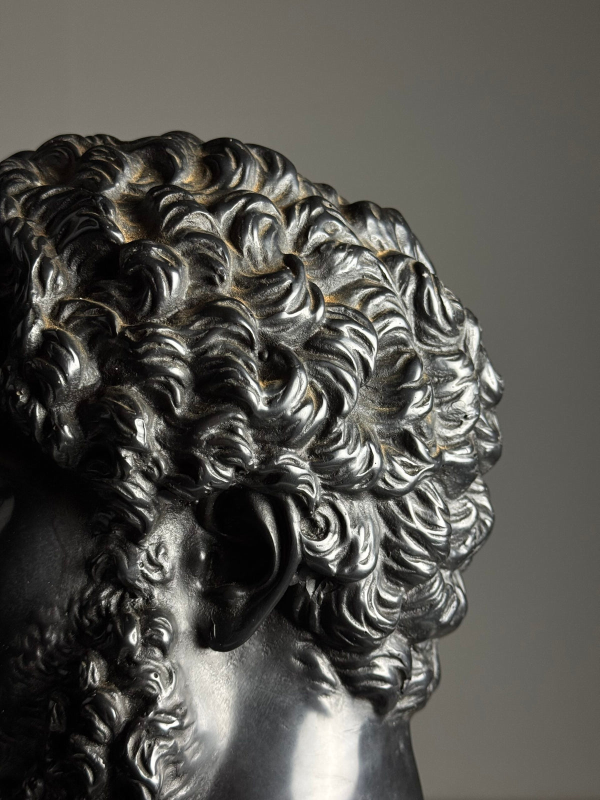 Plaster Bust of Lucius Verus, Mid 20th Century, photo 11