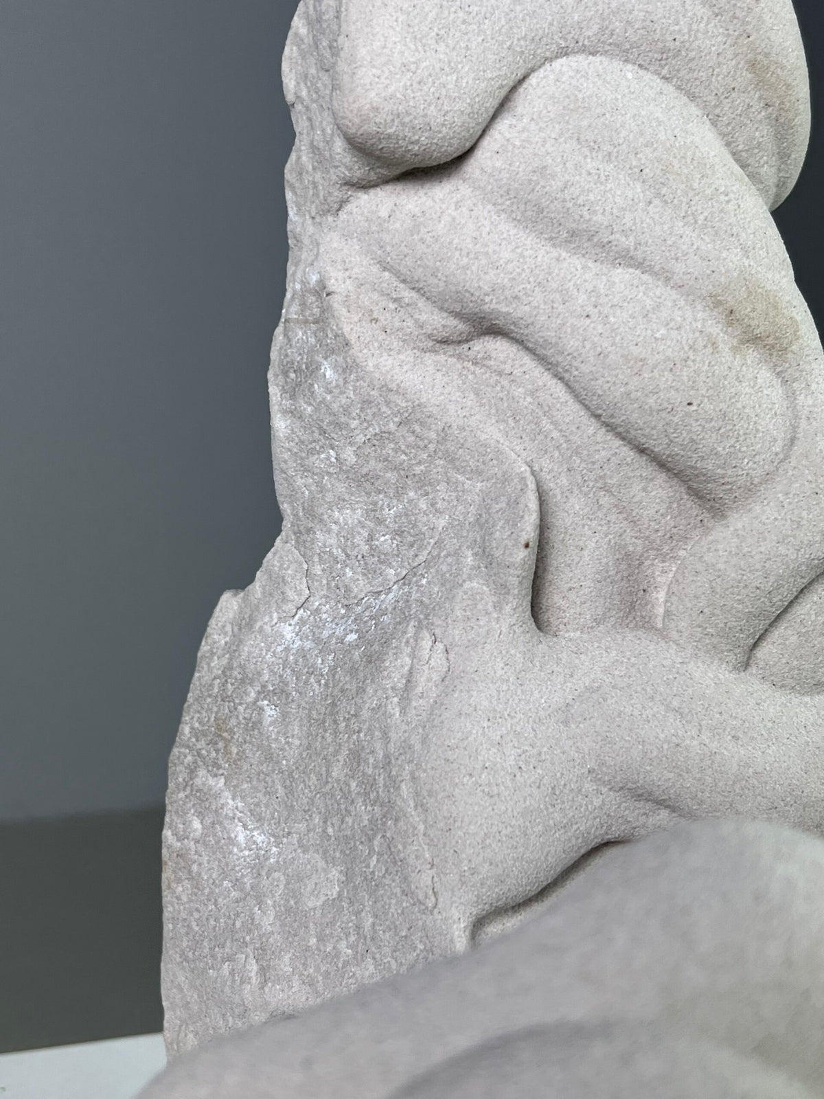 Three Gogottes de Fontainebleau on Black Oak Stand, photo 11