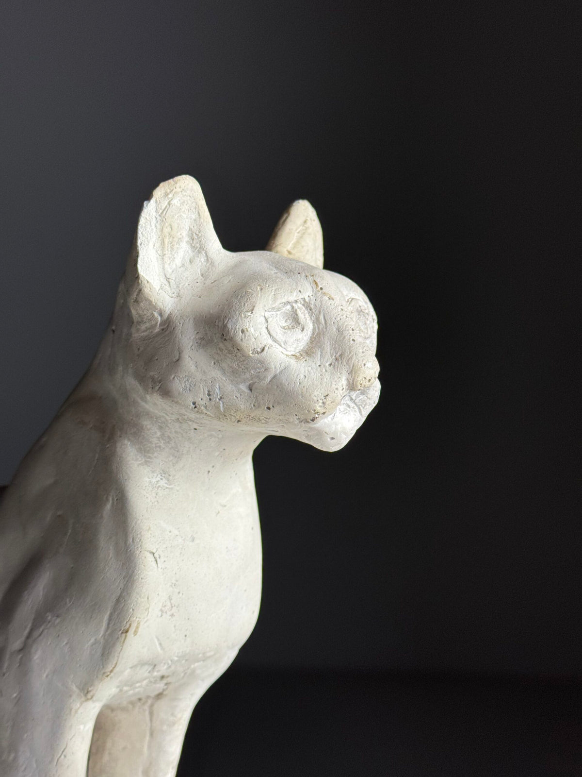 French Plaster Cat Figurine, 20th Century, photo 5