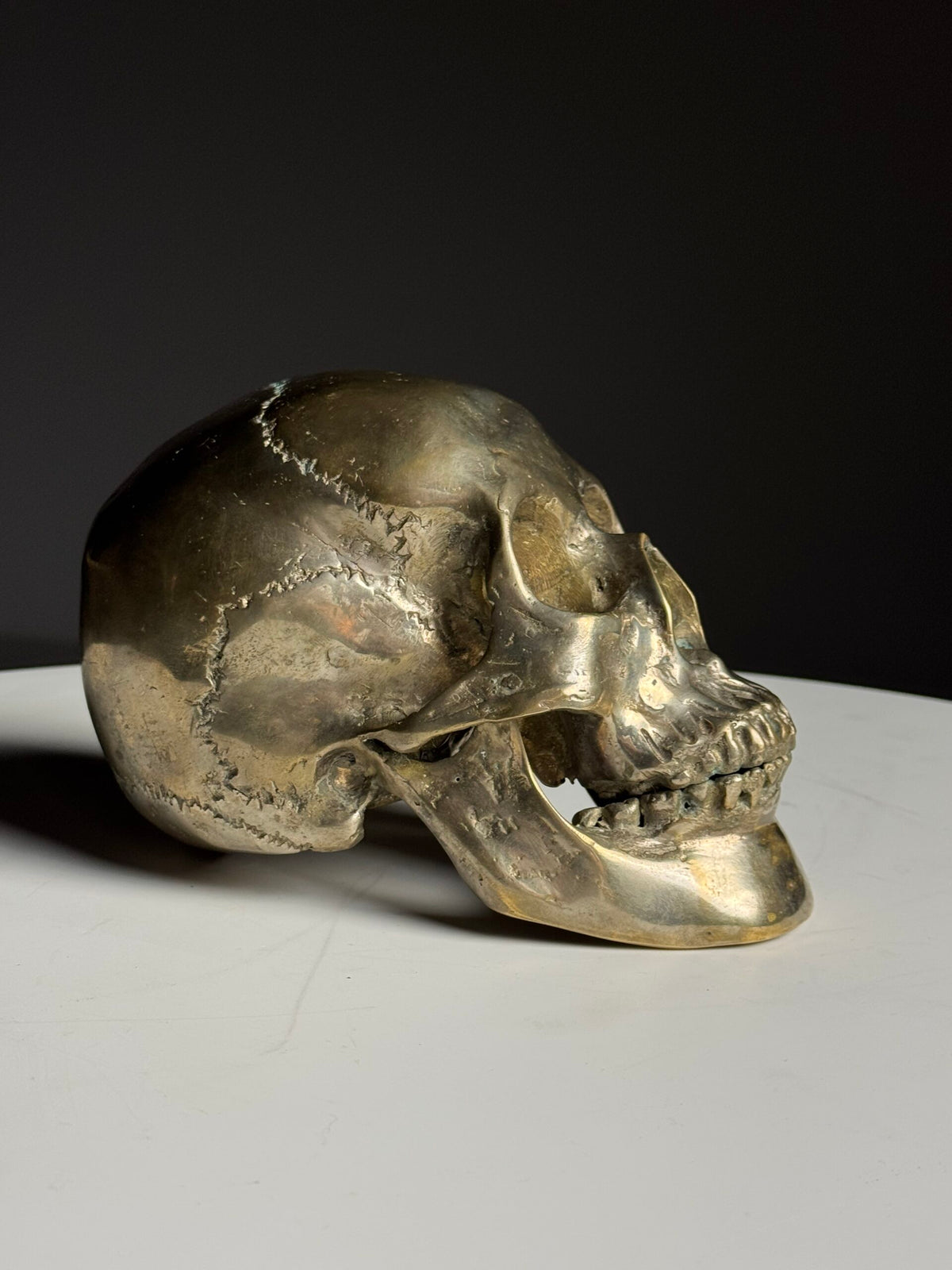 Bronze Skull, Early to Mid 20th Century, photo 5