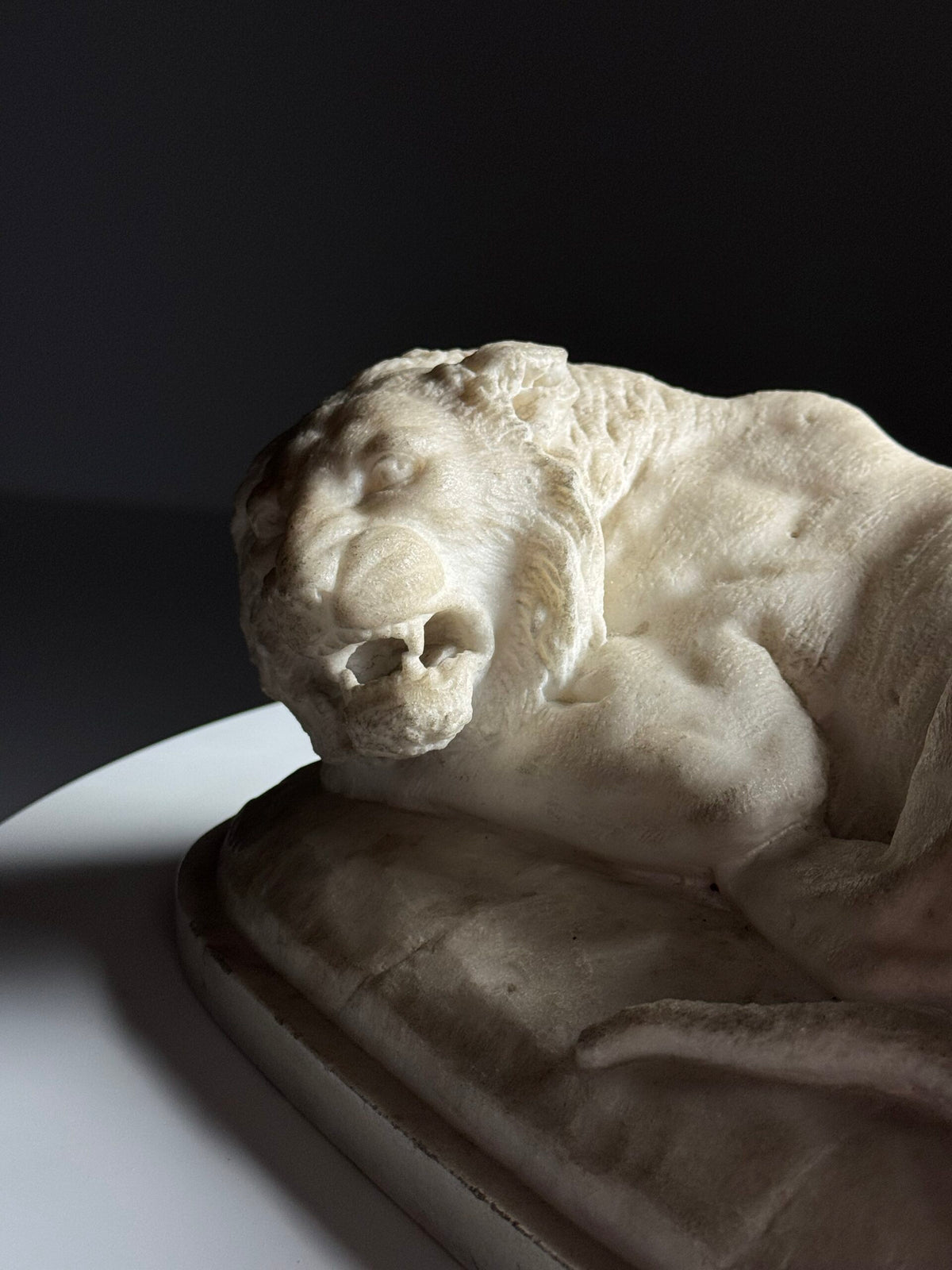 Cast Marble Sculpture of a Reclining Lion, photo 7