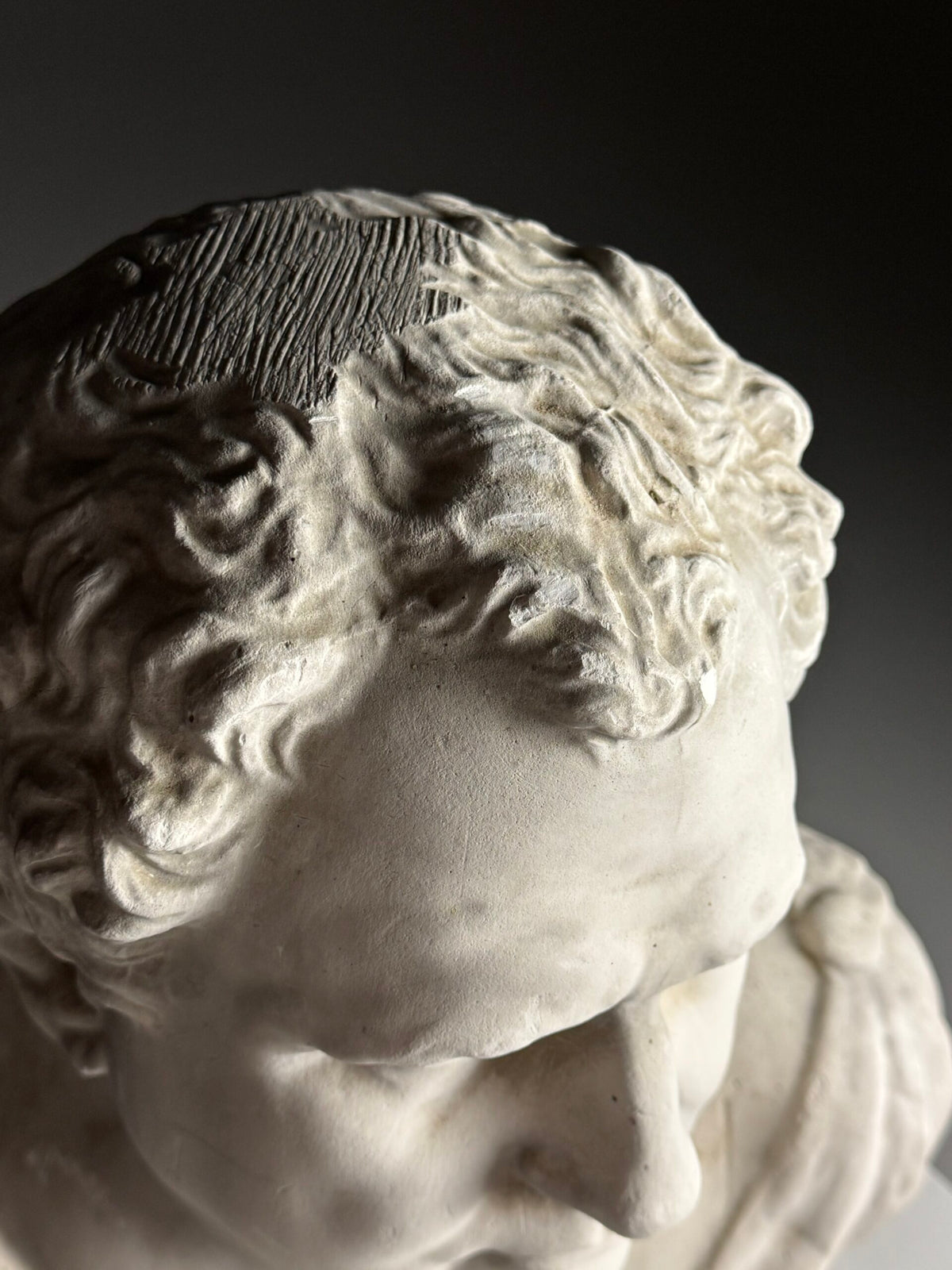 Plaster Bust of Emperor Vitellius, 1980 to 1990, photo 15