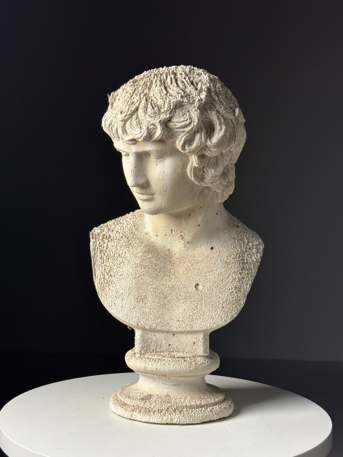 Plaster Bust of Antinous, circa 2000, photo 20