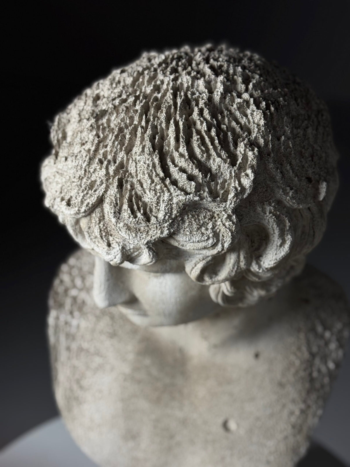 Plaster Bust of Antinous, circa 2000, photo 18