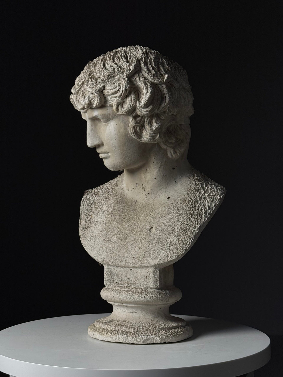 Plaster Bust of Antinous, circa 2000, photo 2