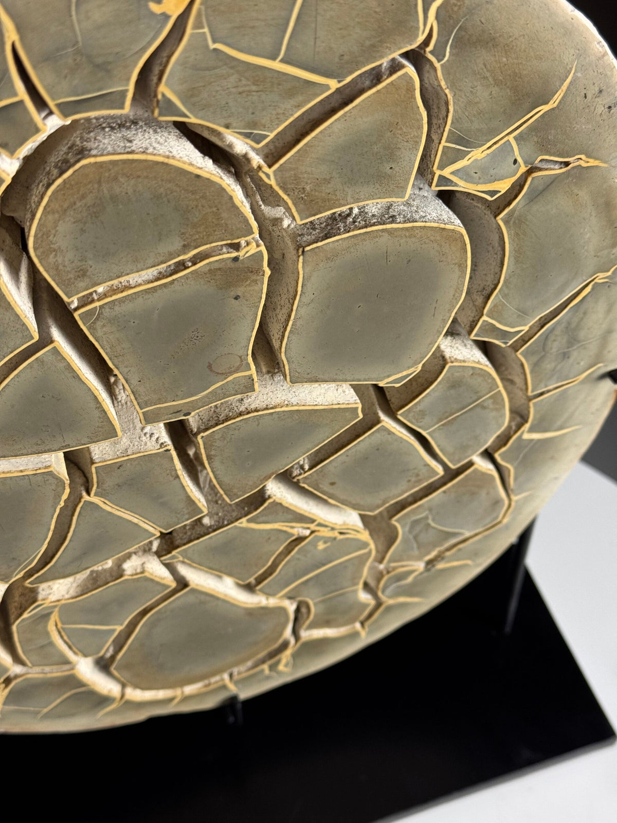 Septaria Nodule Cross Section on Metal Stand, photo 7