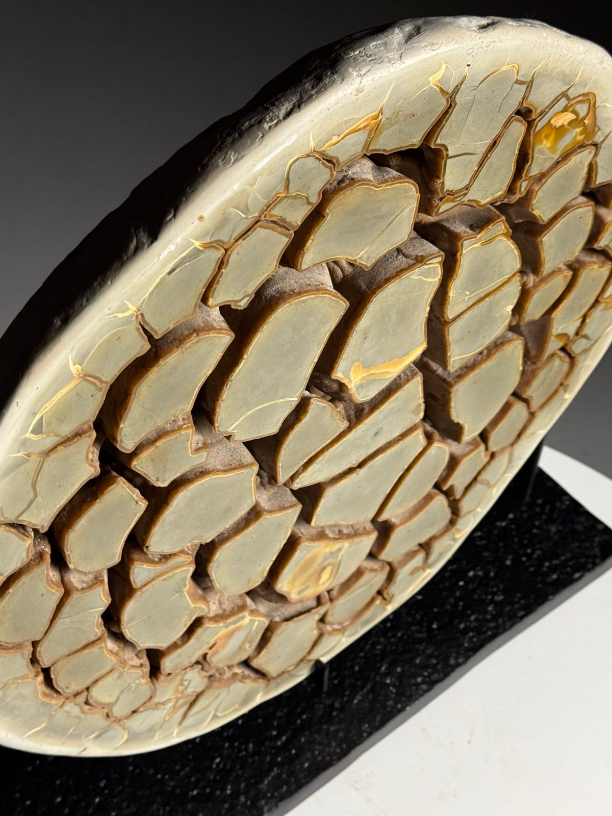 Septaria Nodule Cross Section on Metal Stand, photo 12