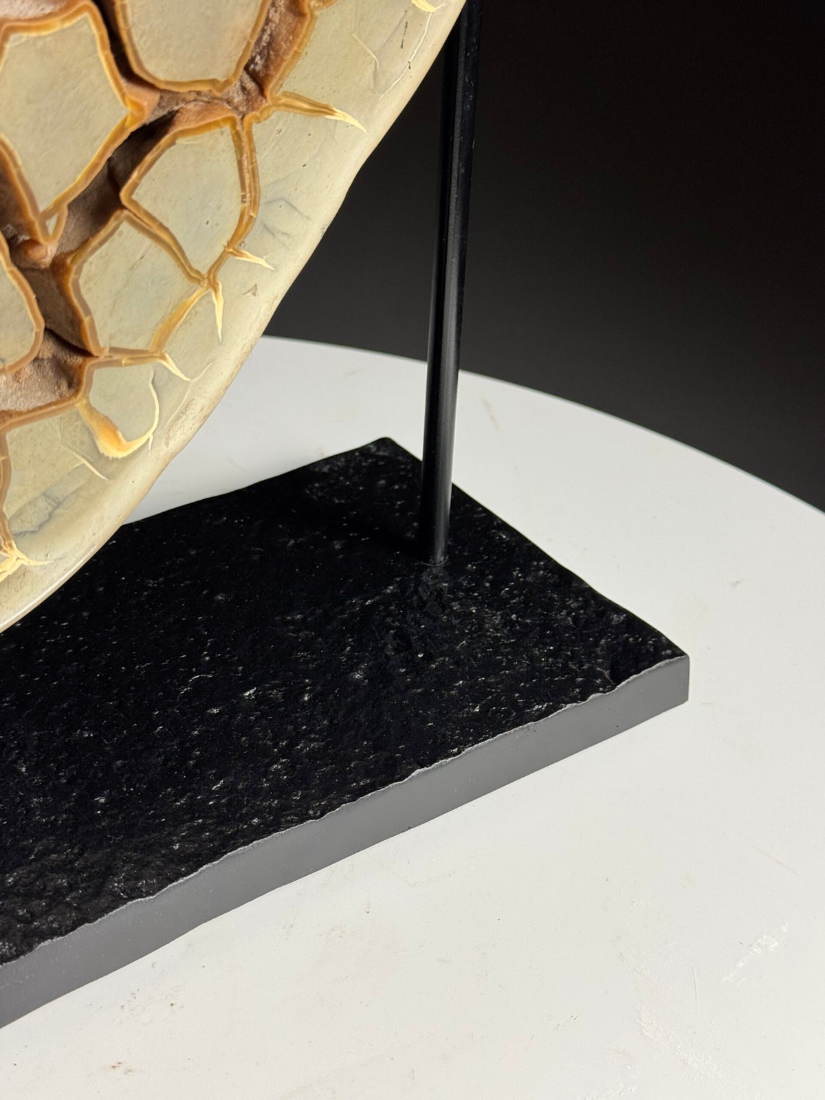Septaria Nodule Cross Section on Metal Stand, photo 9