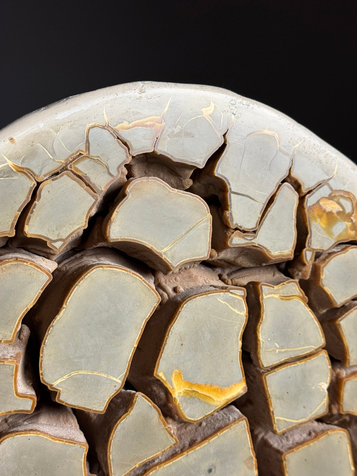 Septaria Nodule Cross Section on Metal Stand, photo 6