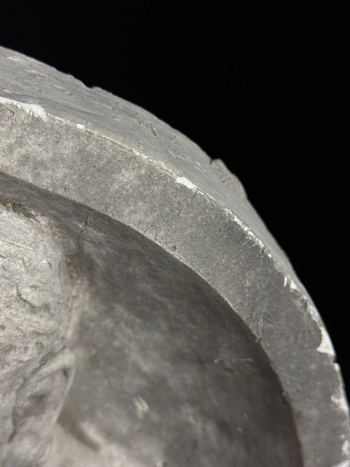 19th Century Plaster Portrait Medallion, photo 16